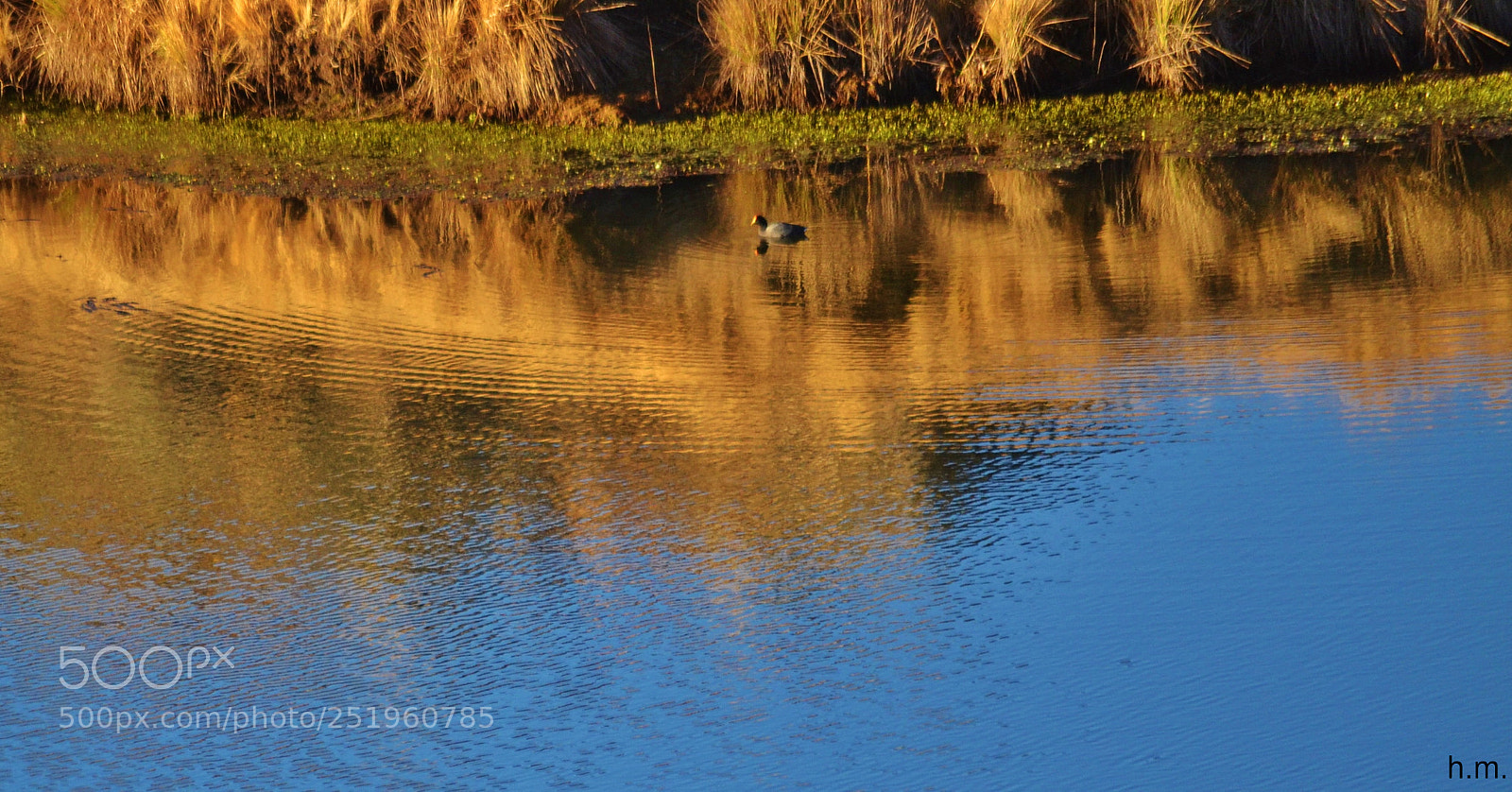Nikon D3100 sample photo. O photography