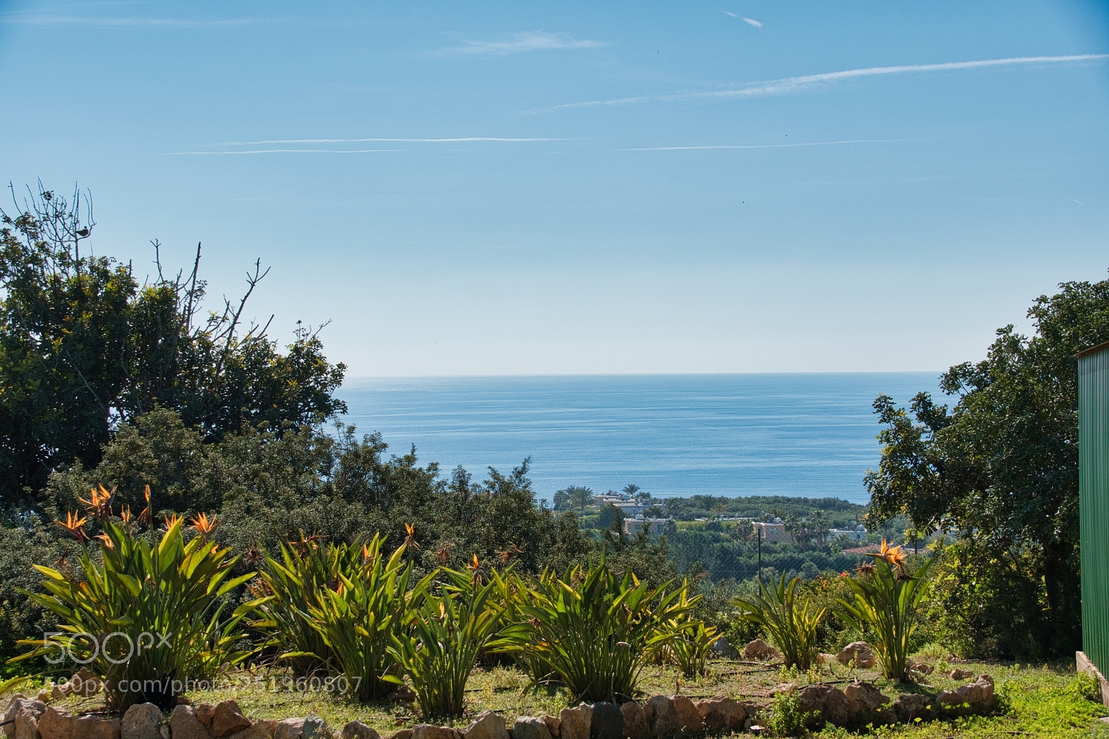 Nikon D500 sample photo. I can sea the photography