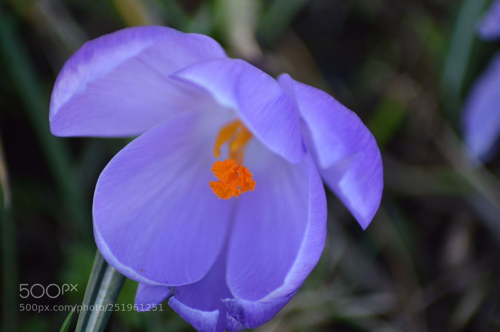 Nikon D3200 sample photo. Untitled photography
