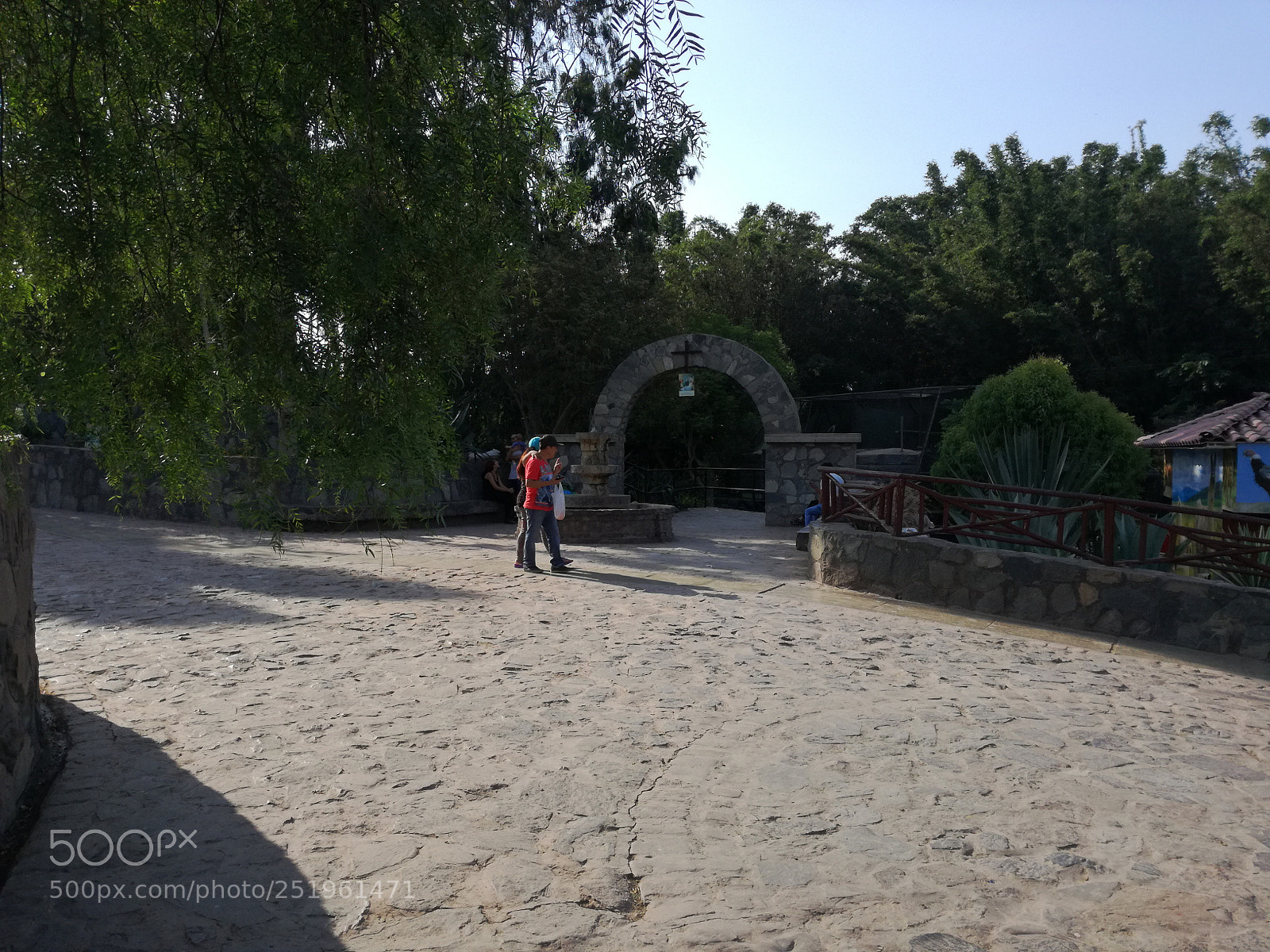 HUAWEI P9 LITE sample photo. Untitled photography