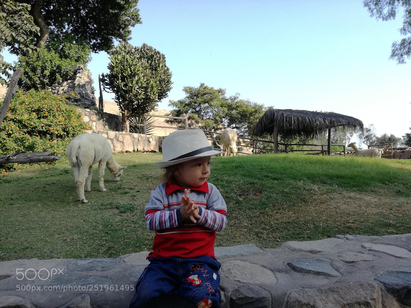 HUAWEI P9 LITE sample photo. Untitled photography