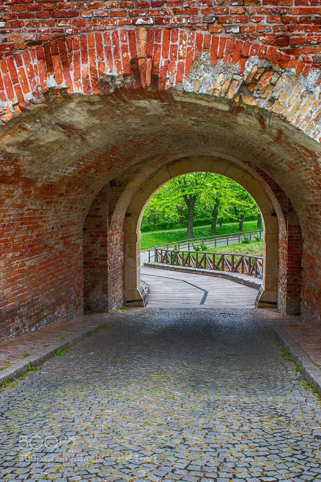 Nikon D3100 sample photo. One spring on petrovaradin photography