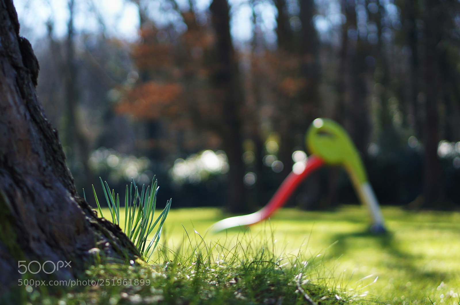 Sony Alpha NEX-5N sample photo. Mes photos photography