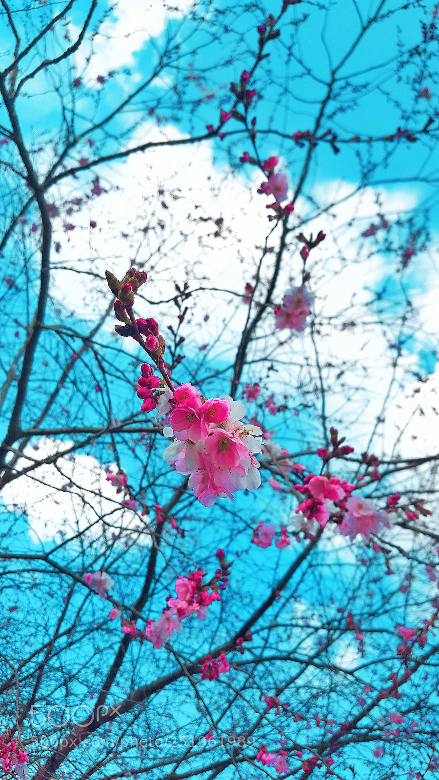 Samsung Galaxy S6 sample photo. Untitled photography