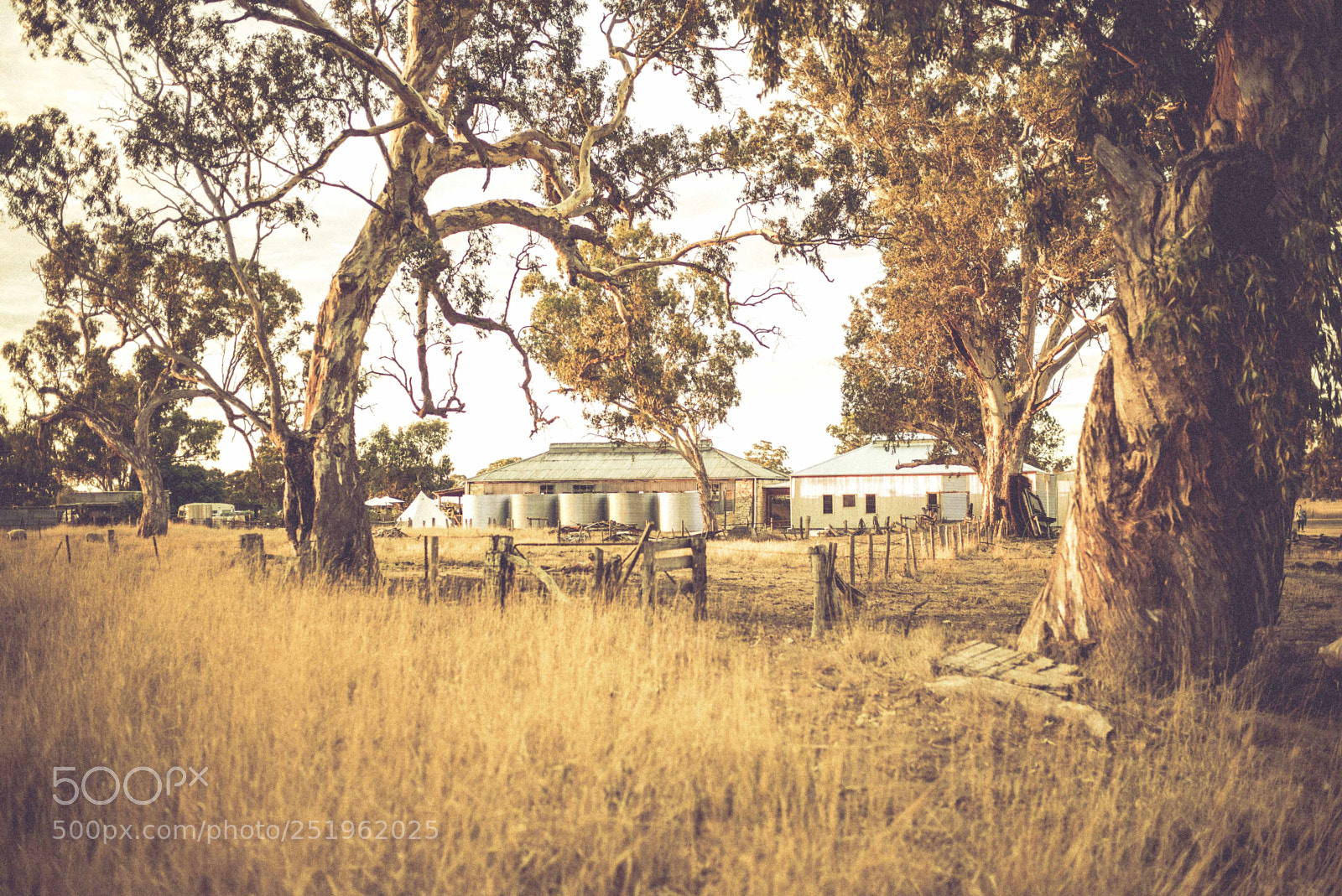 Leica M (Typ 240) sample photo. Glenroy shearing shed photography