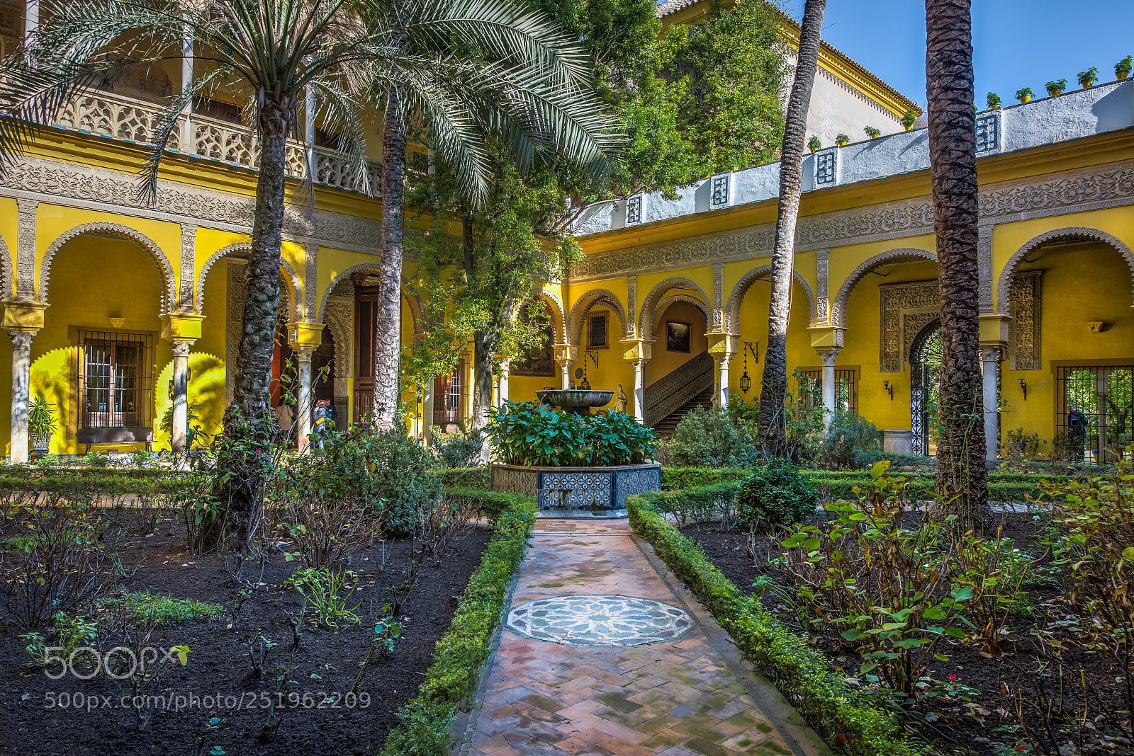 Nikon D810 sample photo. The courtyard garden of photography