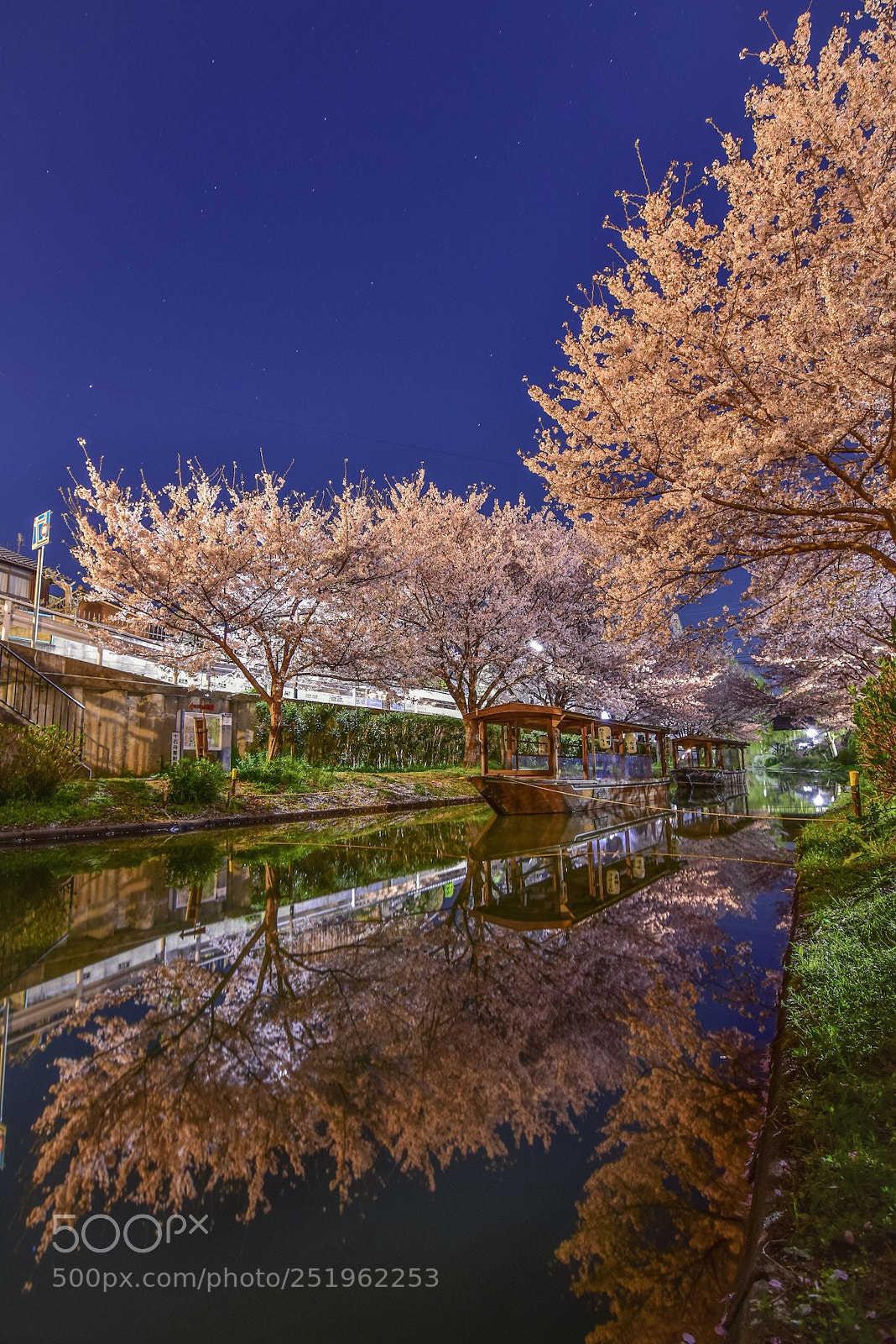 Nikon D7200 sample photo. S a k u photography