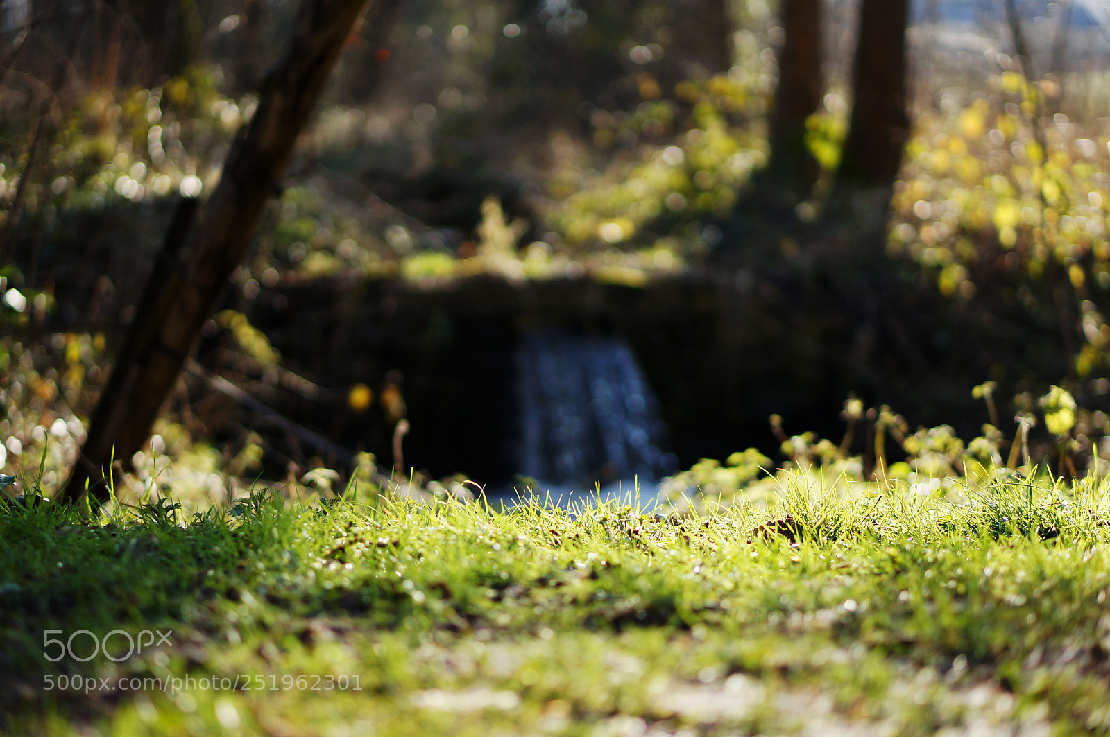Sony Alpha NEX-5N sample photo. Mes photos photography
