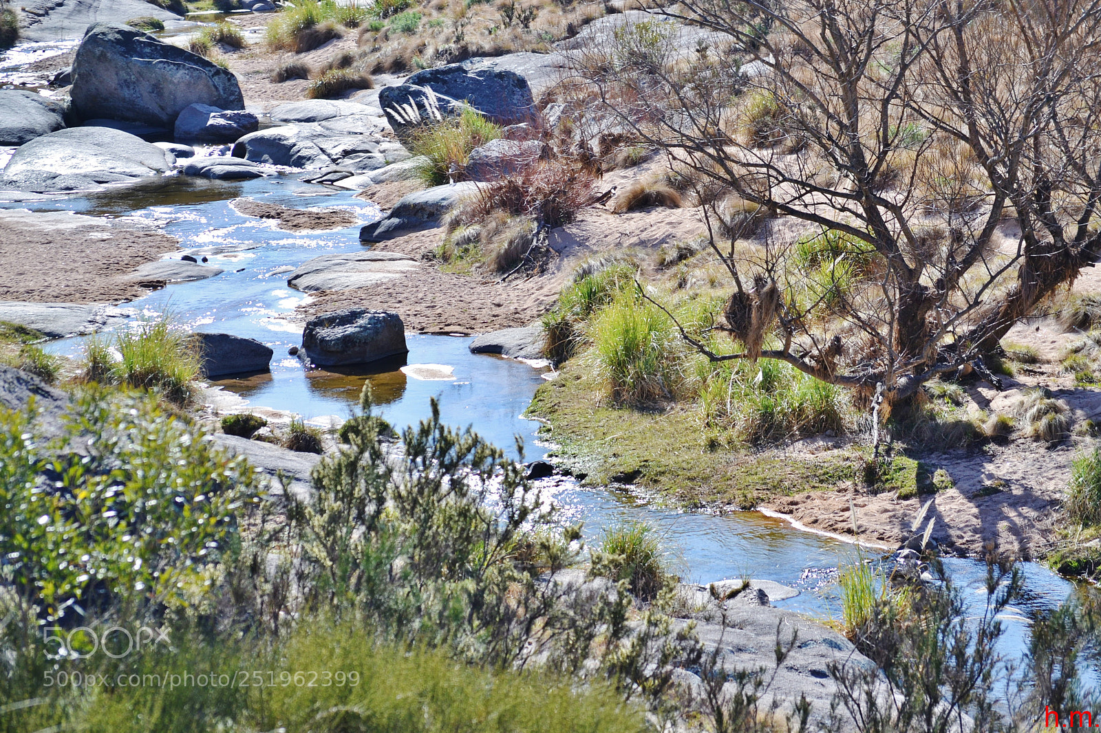 Nikon D3100 sample photo. A o photography