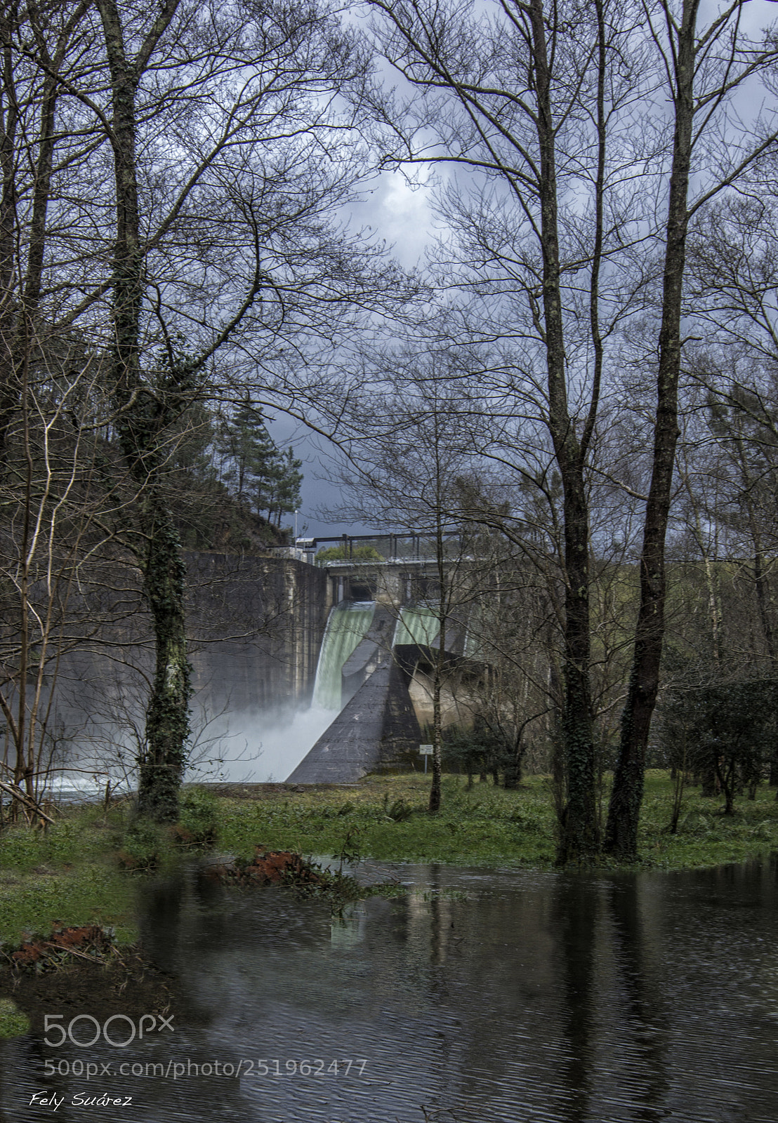 Nikon D7100 sample photo. Presa de arbón. photography