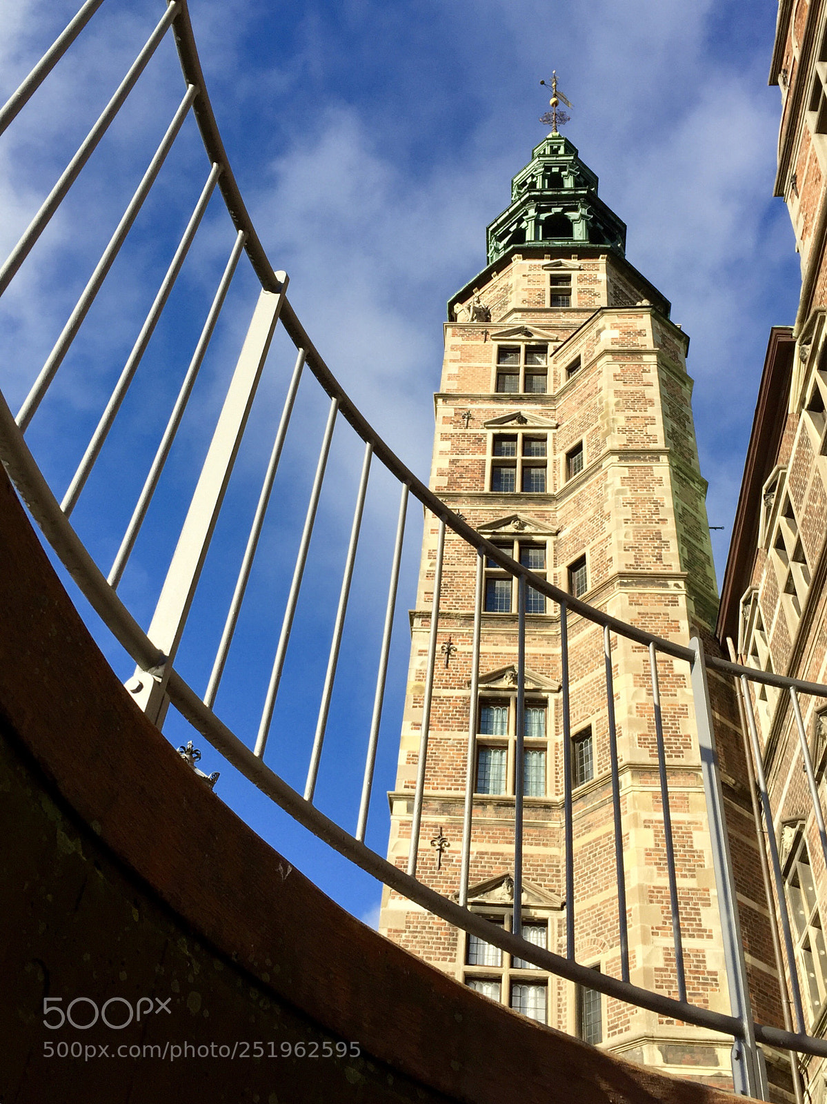 Apple iPhone 6 sample photo. Looking up!  photography