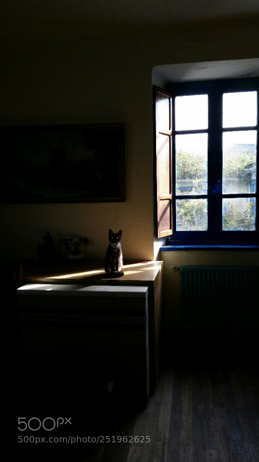 Samsung Galaxy S5 sample photo. Untitled photography