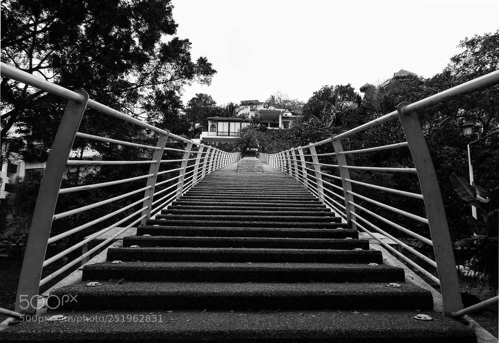 Nikon Coolpix P610 sample photo. Bars and steps photography