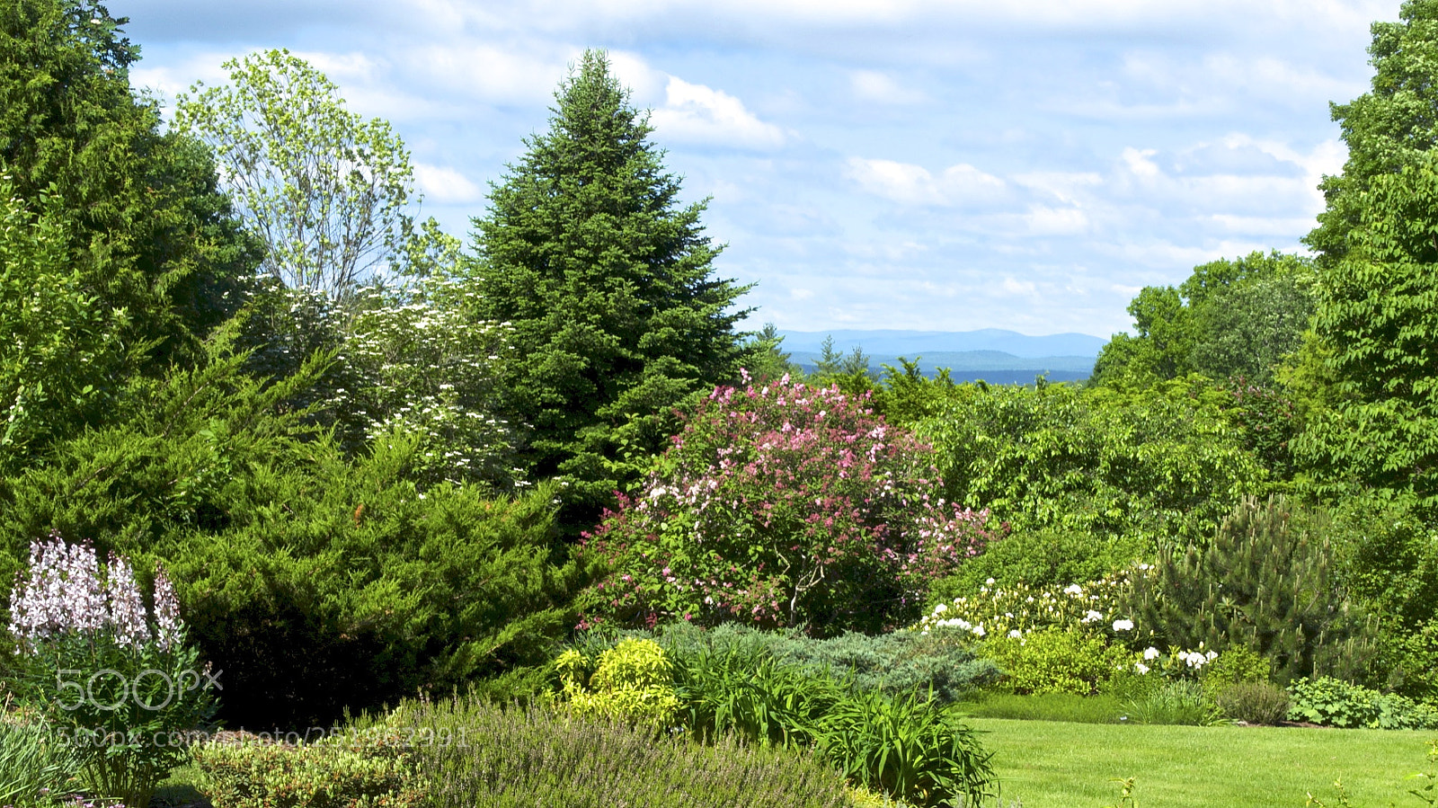 Nikon D3100 sample photo. View of vermont photography