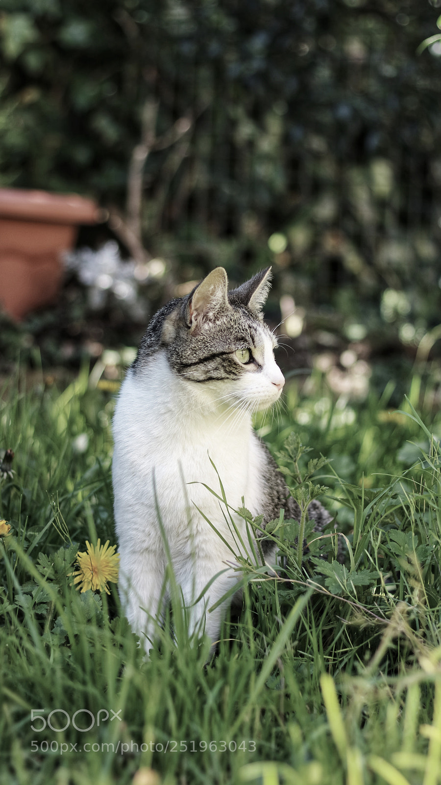 Canon EOS M3 sample photo. Wild photography
