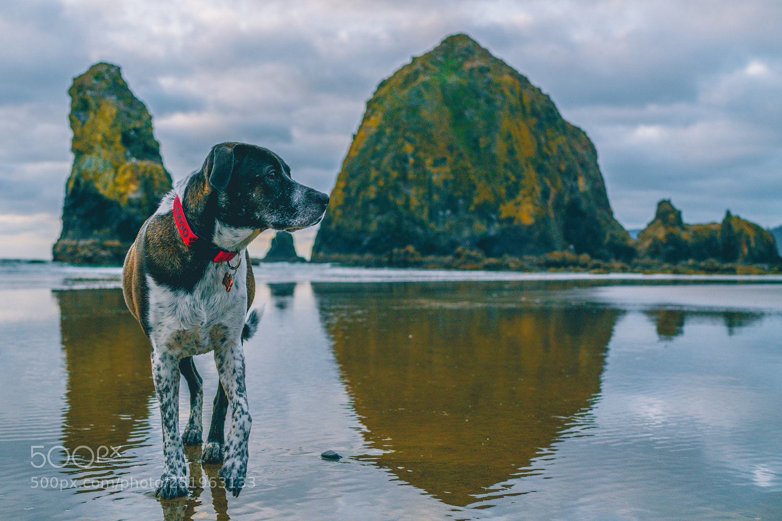 Sony a7R II sample photo. Hosakoo at haystack rock photography
