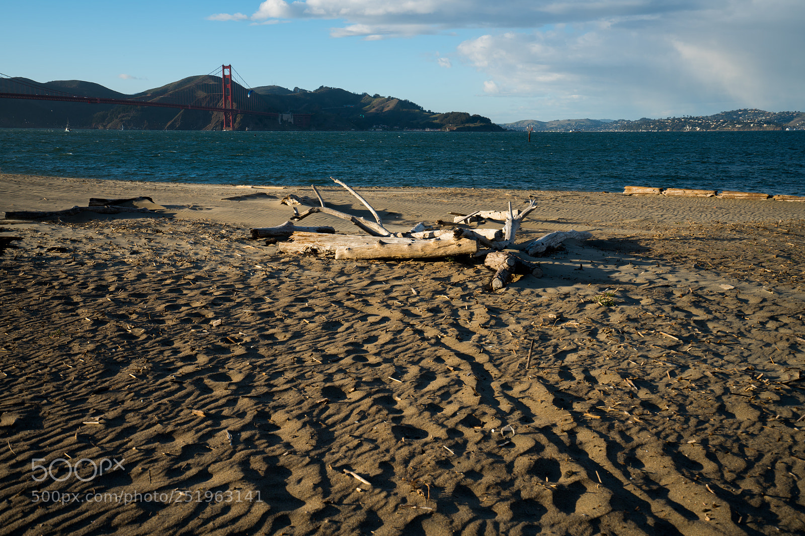 Sony a7R II sample photo. Dsc photography