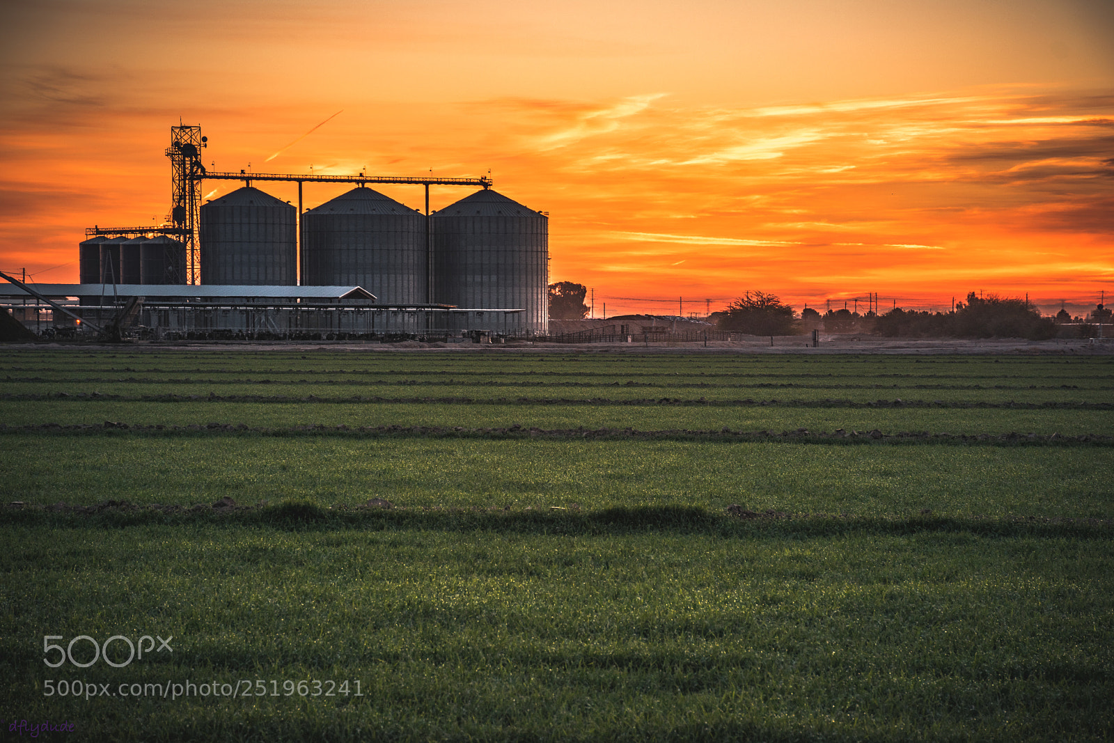 Nikon D5600 sample photo. Dairy's edge 3978 photography