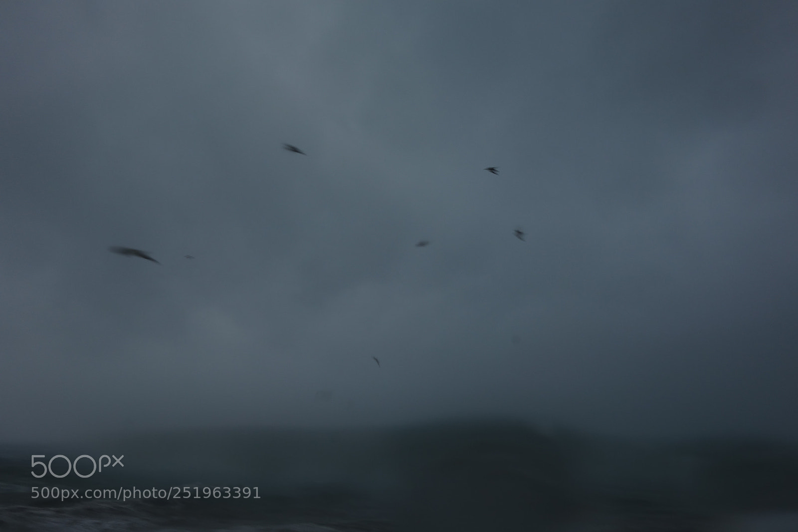 Sony Cyber-shot DSC-RX100 sample photo. Fog in rhe seastorm photography