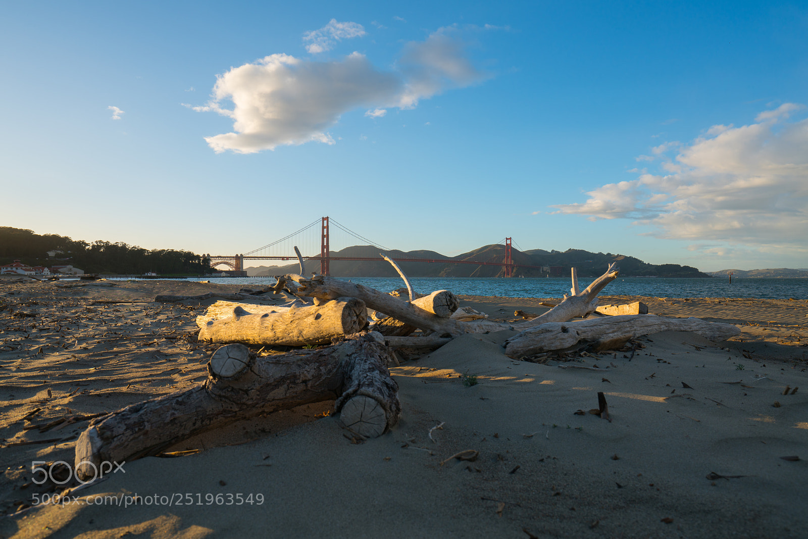 Sony a7R II sample photo. Dsc photography