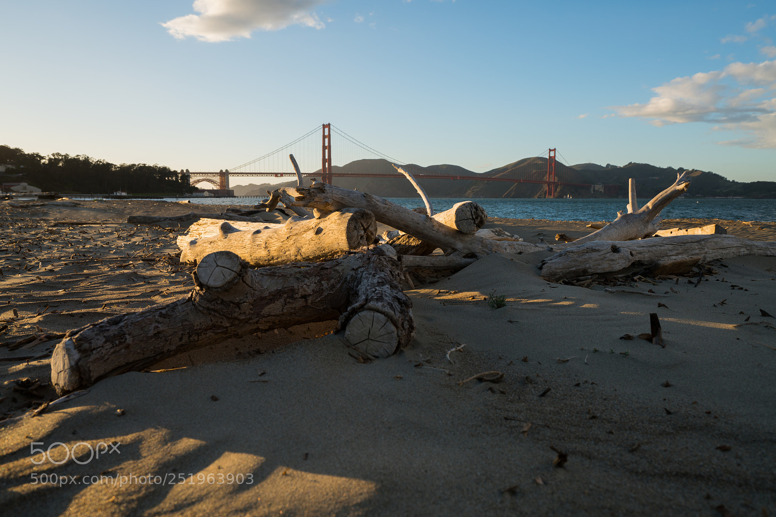 Sony a7R II sample photo. Dsc photography