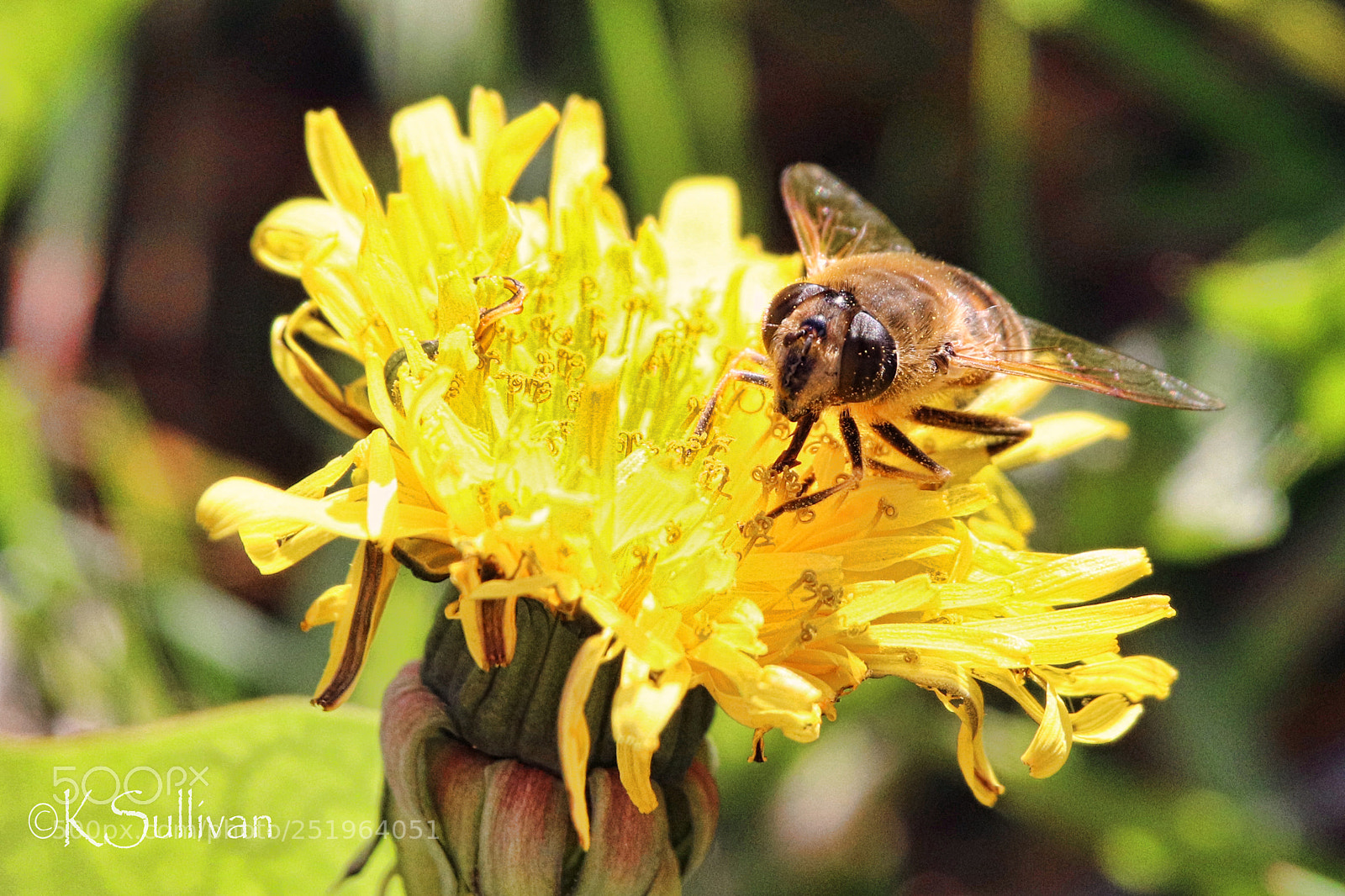 Canon EOS 77D (EOS 9000D / EOS 770D) sample photo. In the act photography