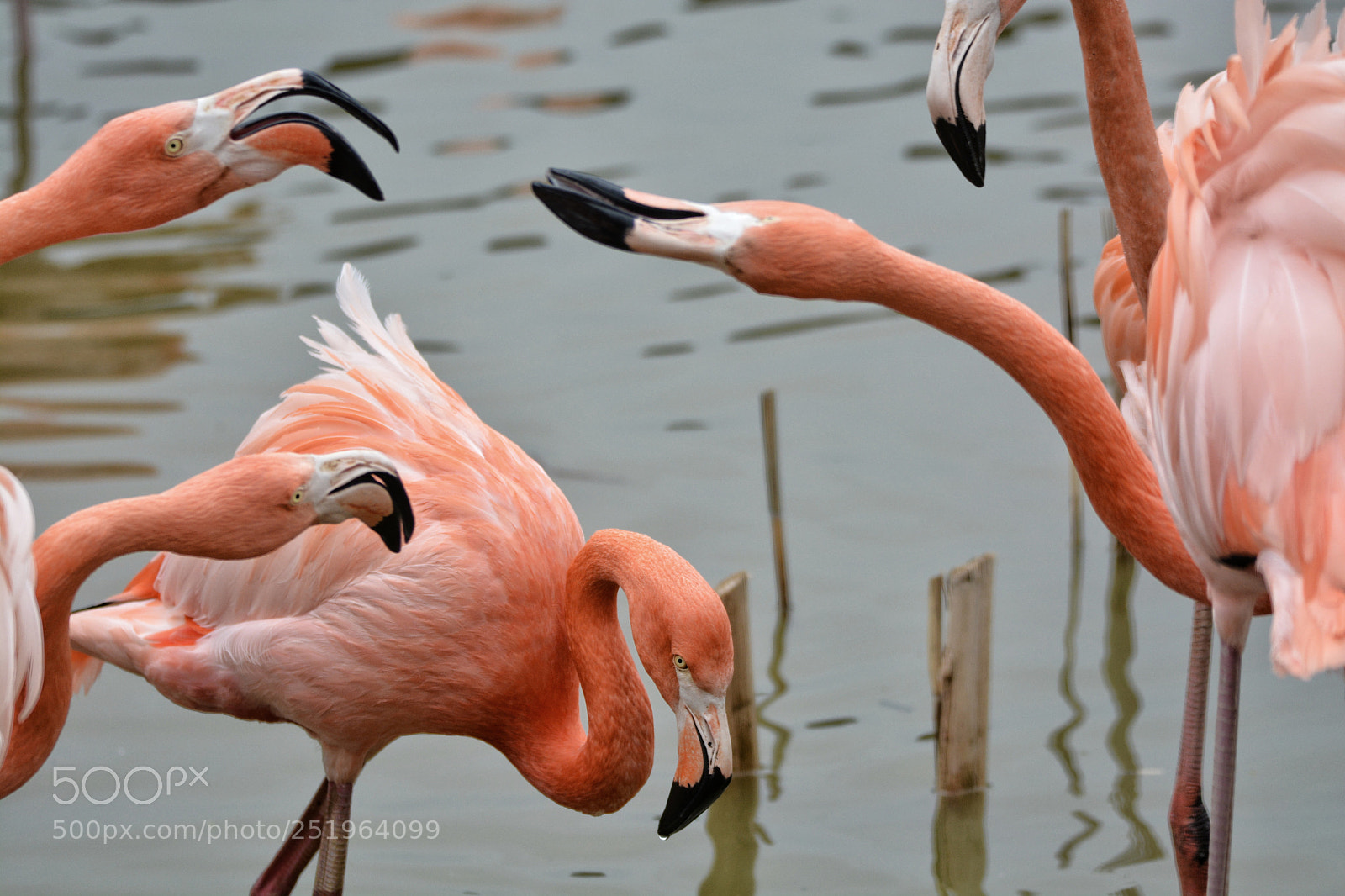 Nikon D7100 sample photo. Untitled photography