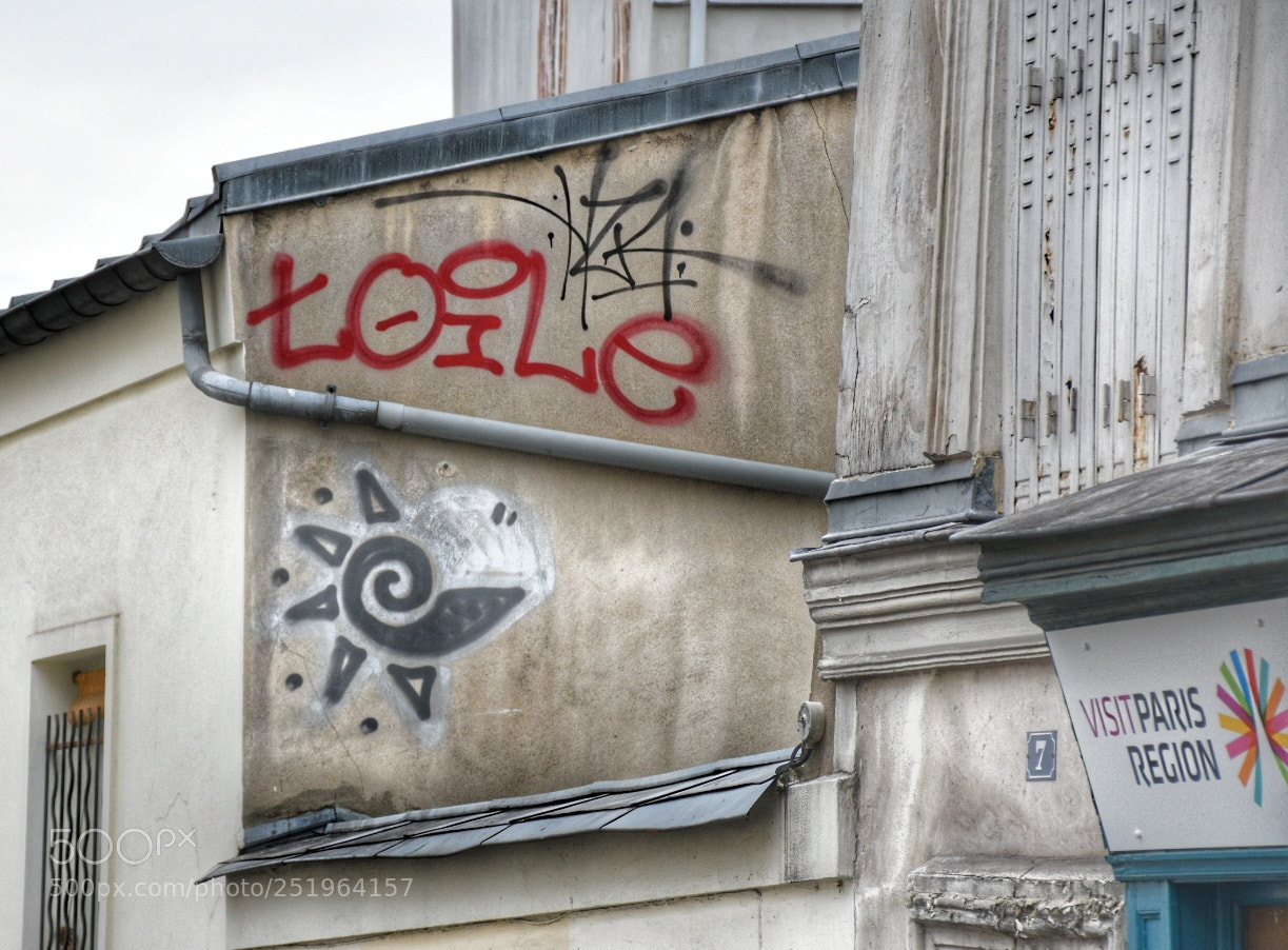 Nikon D7200 sample photo. Artecallejero streetart montmartre paris photography