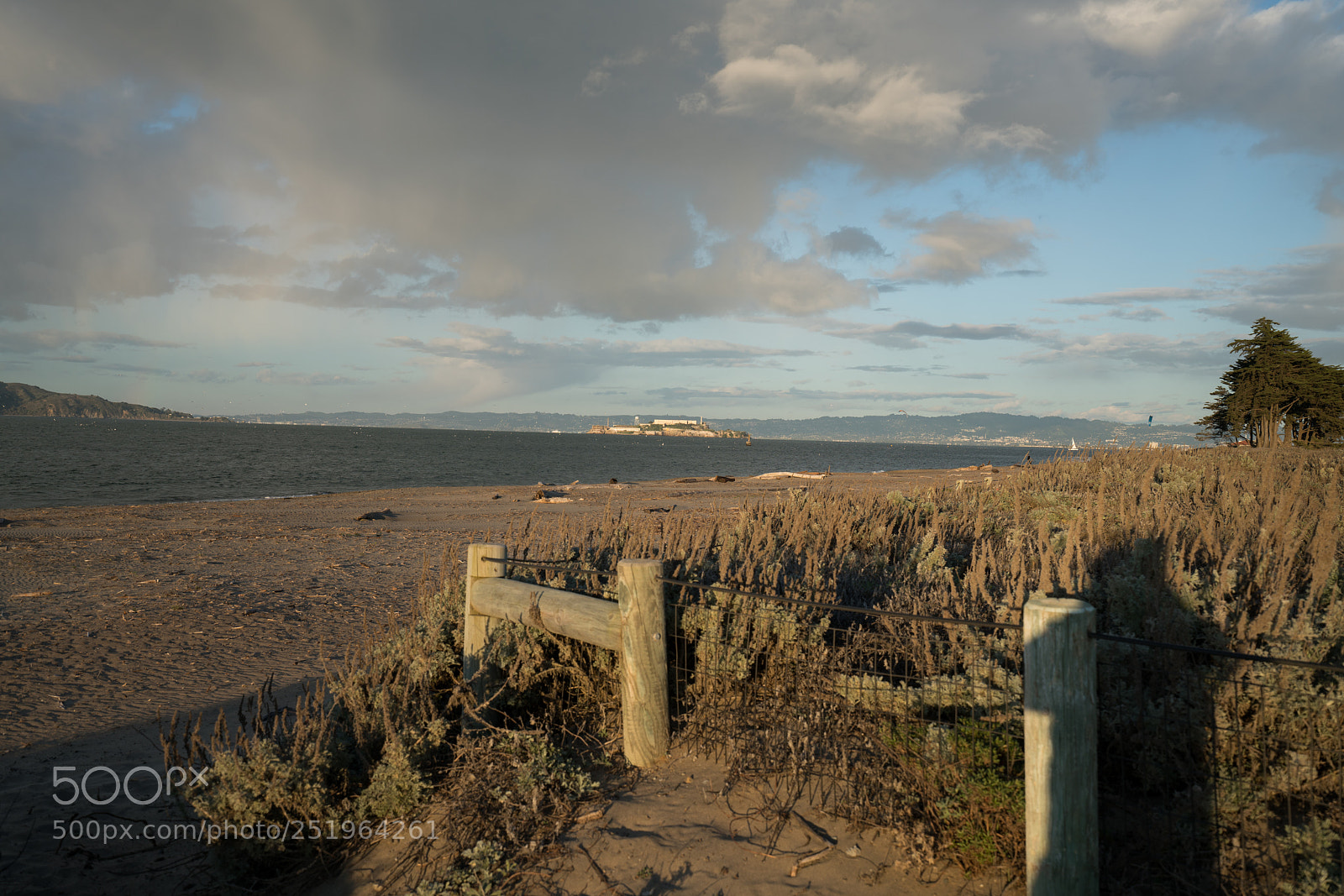 Sony a7R II sample photo. Dsc photography