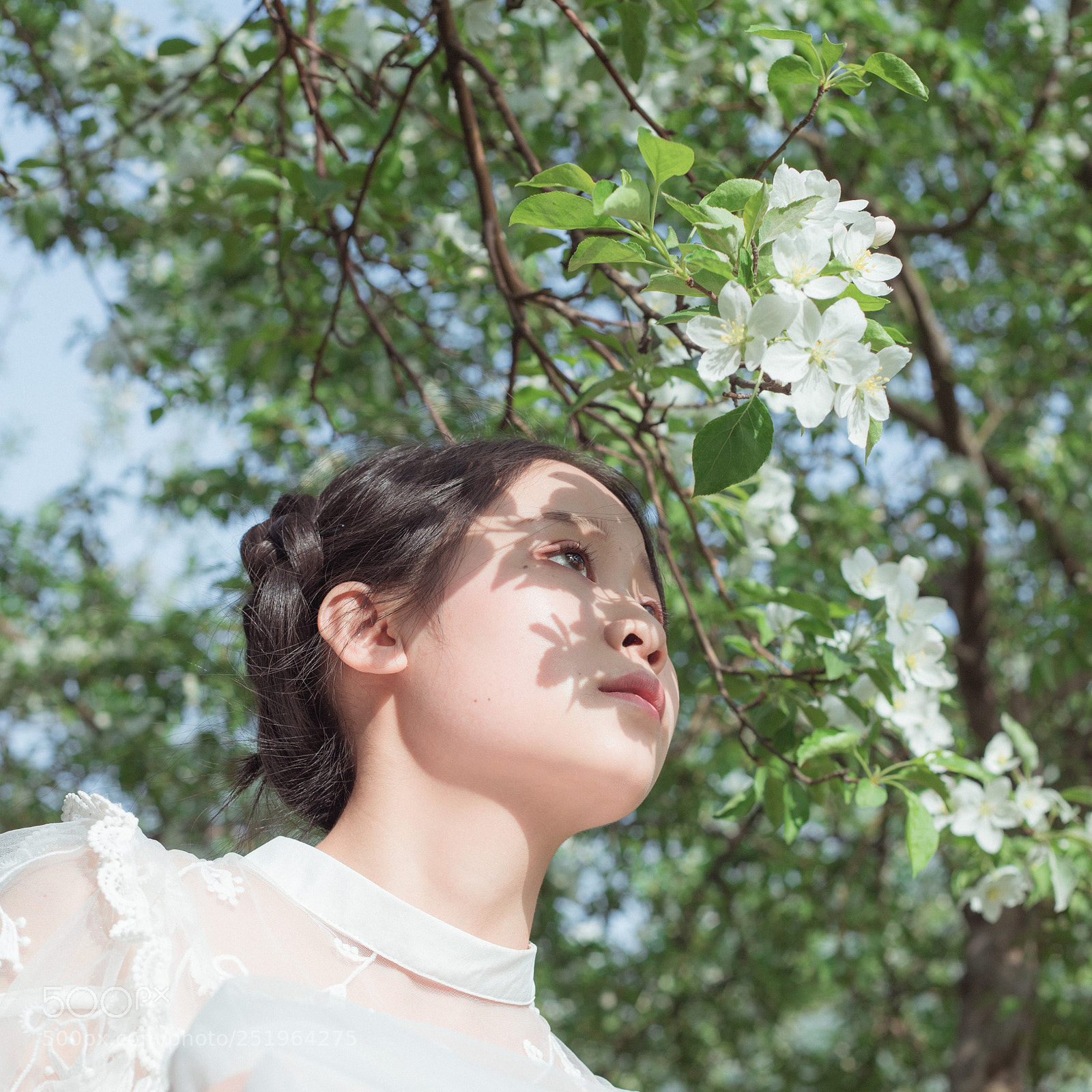 Canon EOS 6D Mark II sample photo. 花和少女 photography