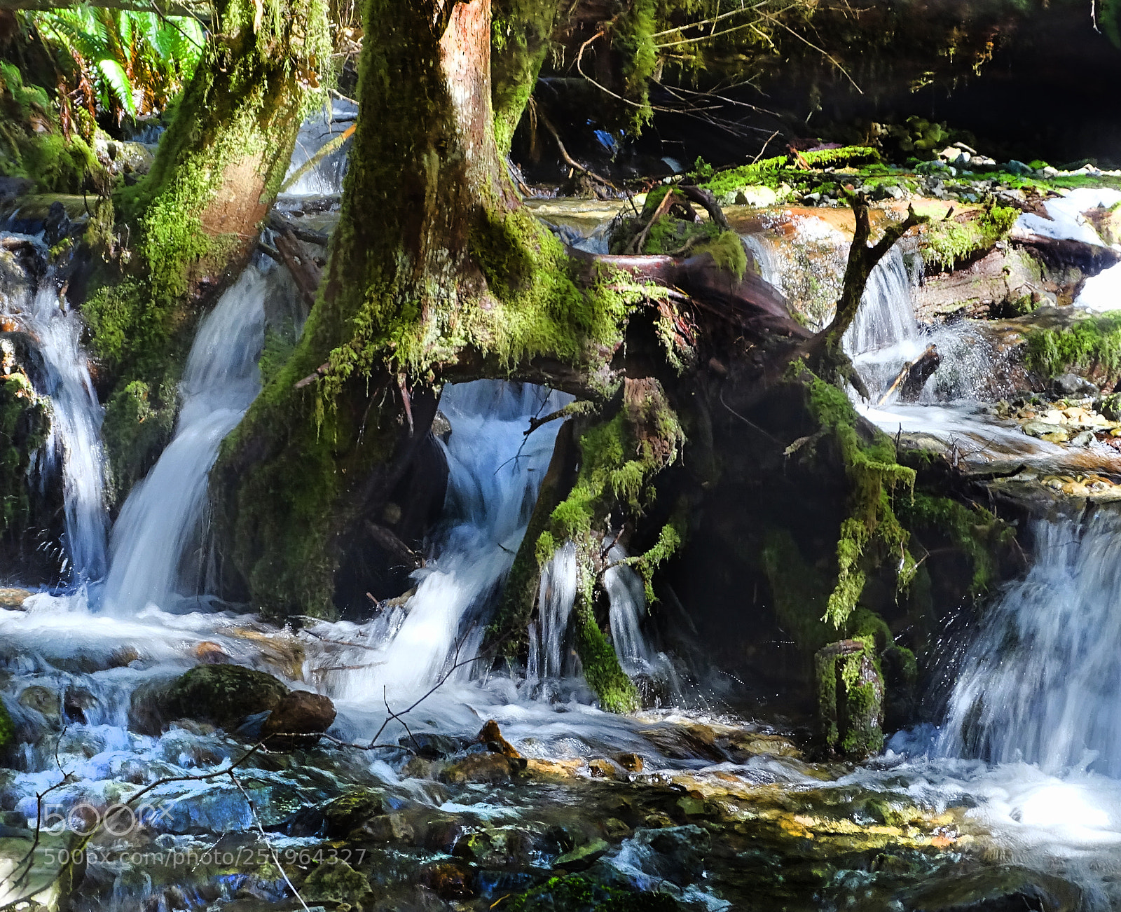 Sony Cyber-shot DSC-HX400V sample photo. Water thru tree photography