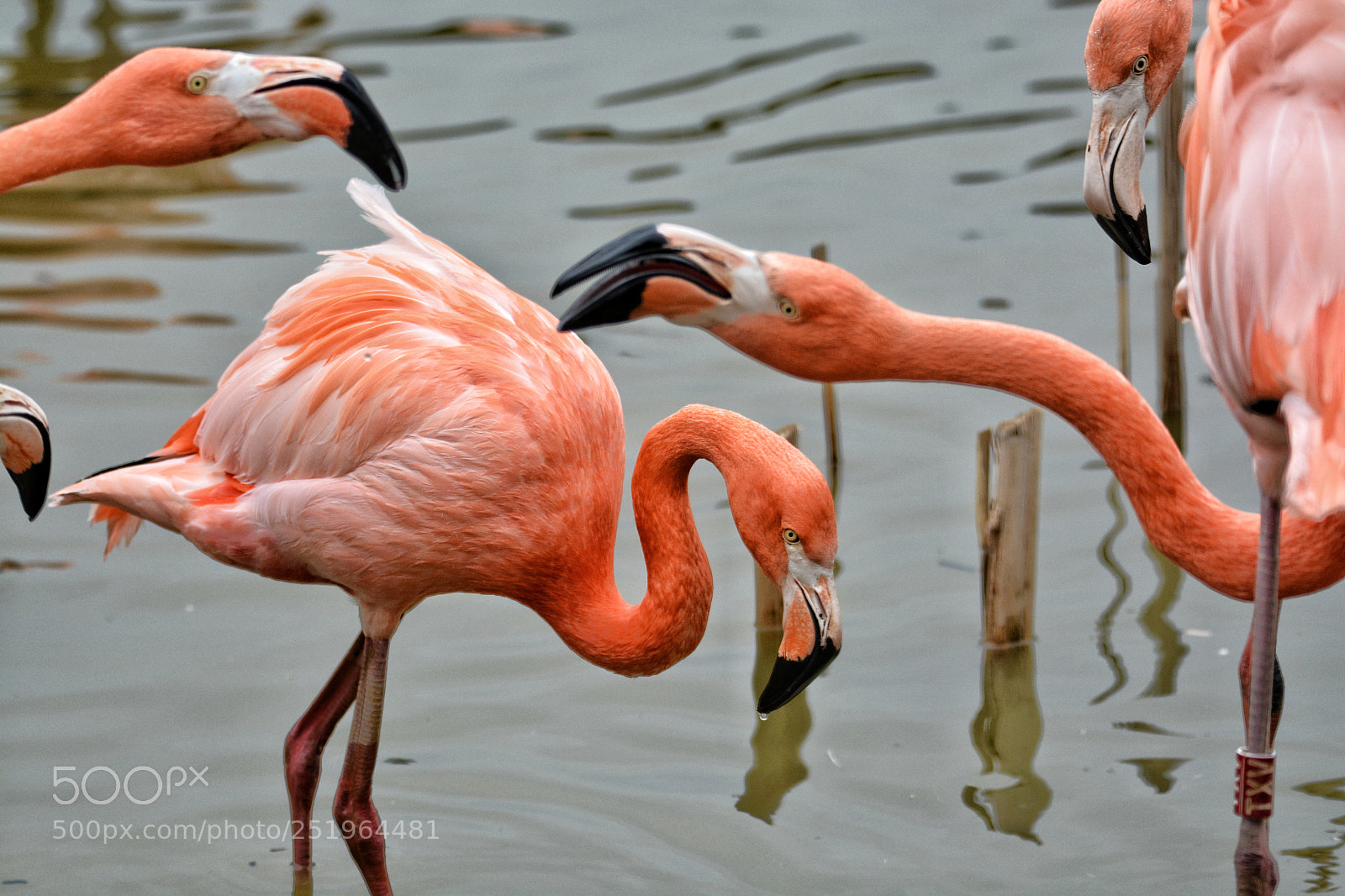 Nikon D7100 sample photo. Untitled photography
