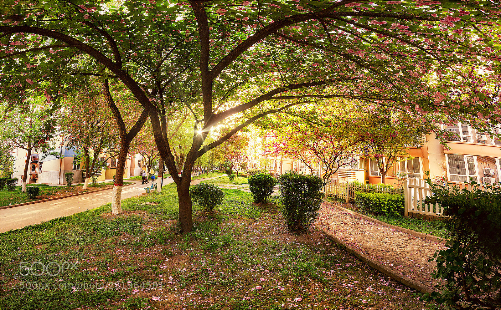 Nikon D800 sample photo. Untitled photography