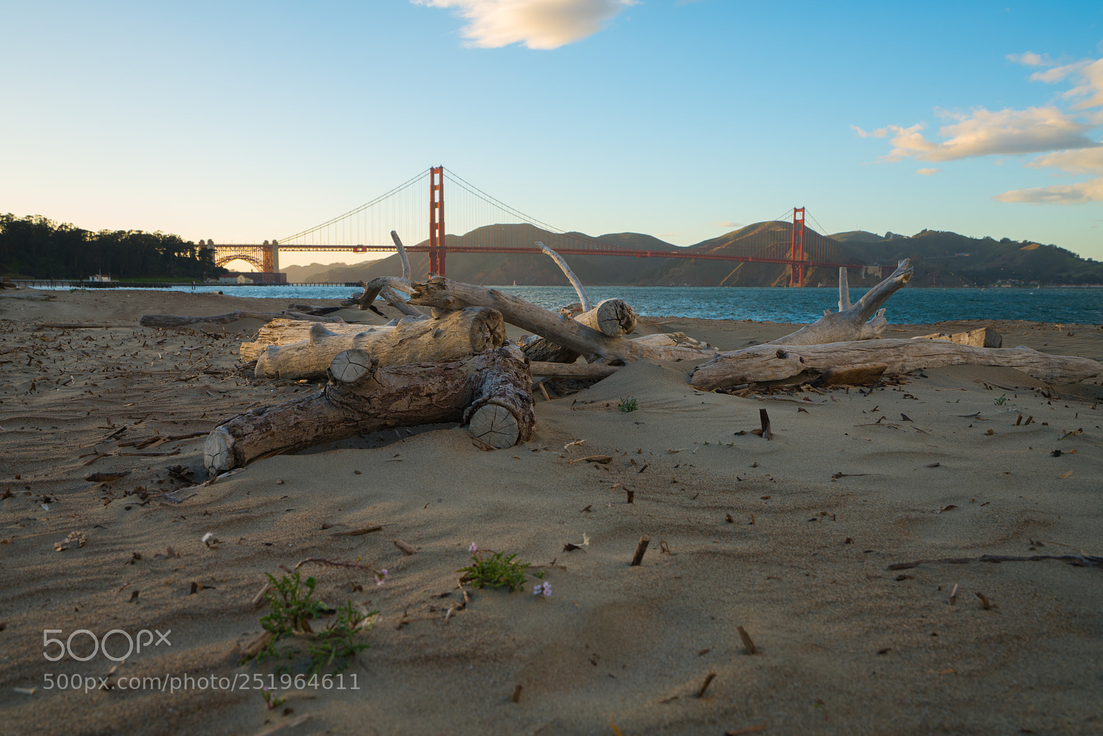 Sony a7R II sample photo. Dsc photography