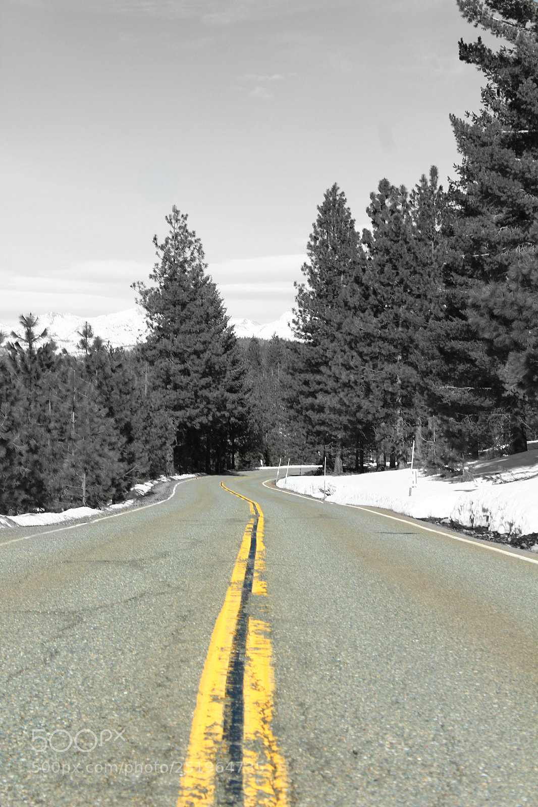 Canon EOS 1300D (EOS Rebel T6 / EOS Kiss X80) sample photo. Road in the forest photography