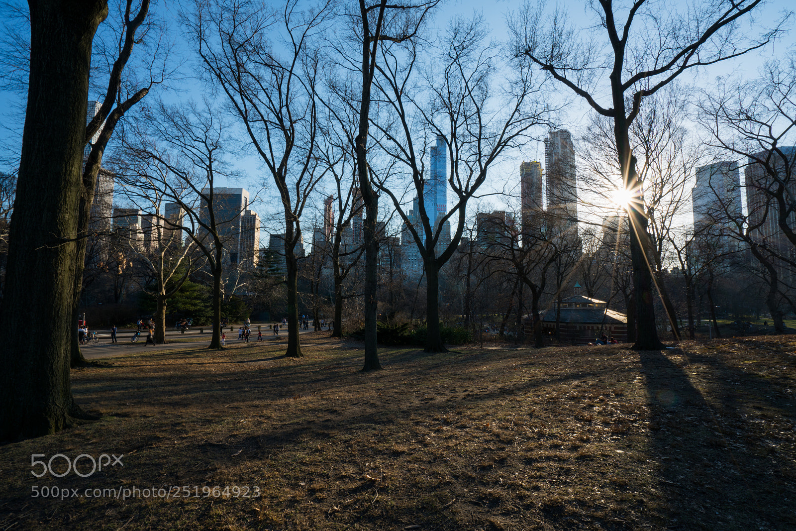 Sony a7R II sample photo. Dsc photography