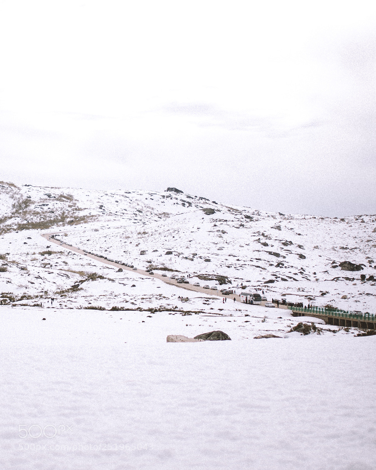 Nikon D610 sample photo. Untitled photography