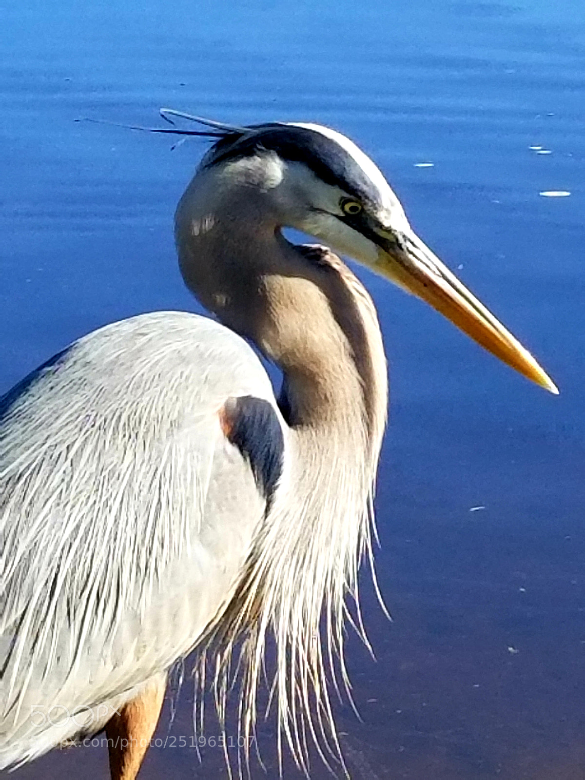 Samsung Galaxy S8 sample photo. Untitled photography