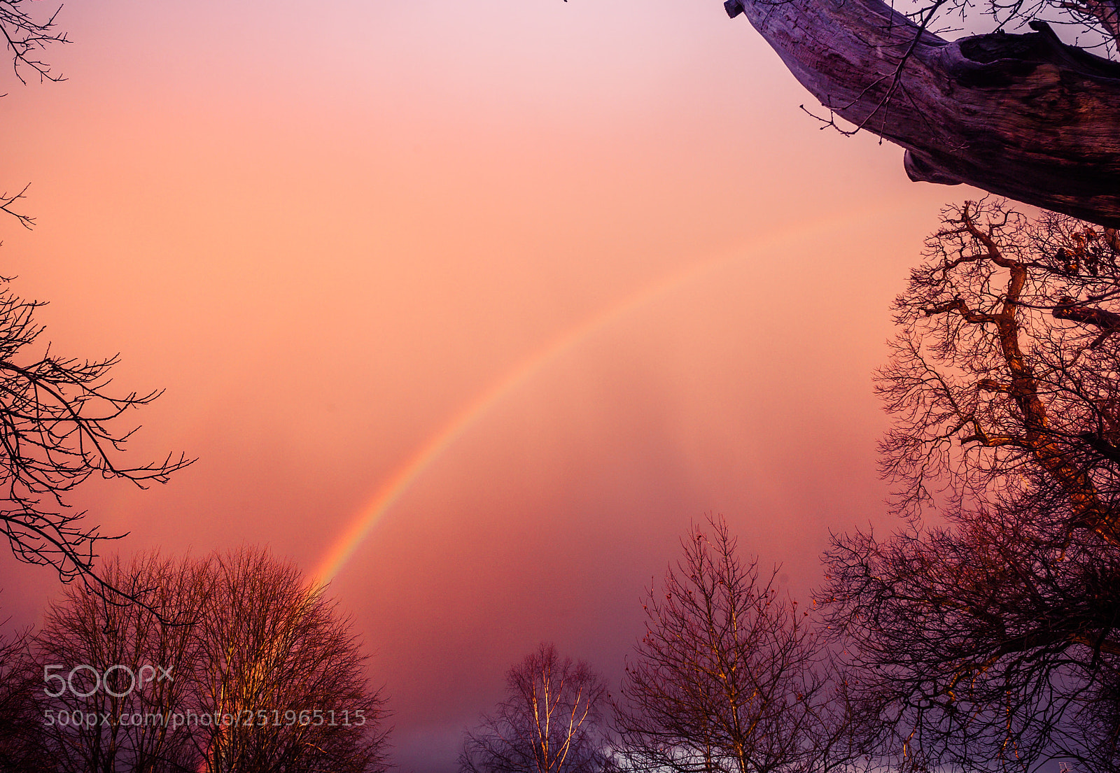 Canon EOS 5D sample photo. Chasing gold photography