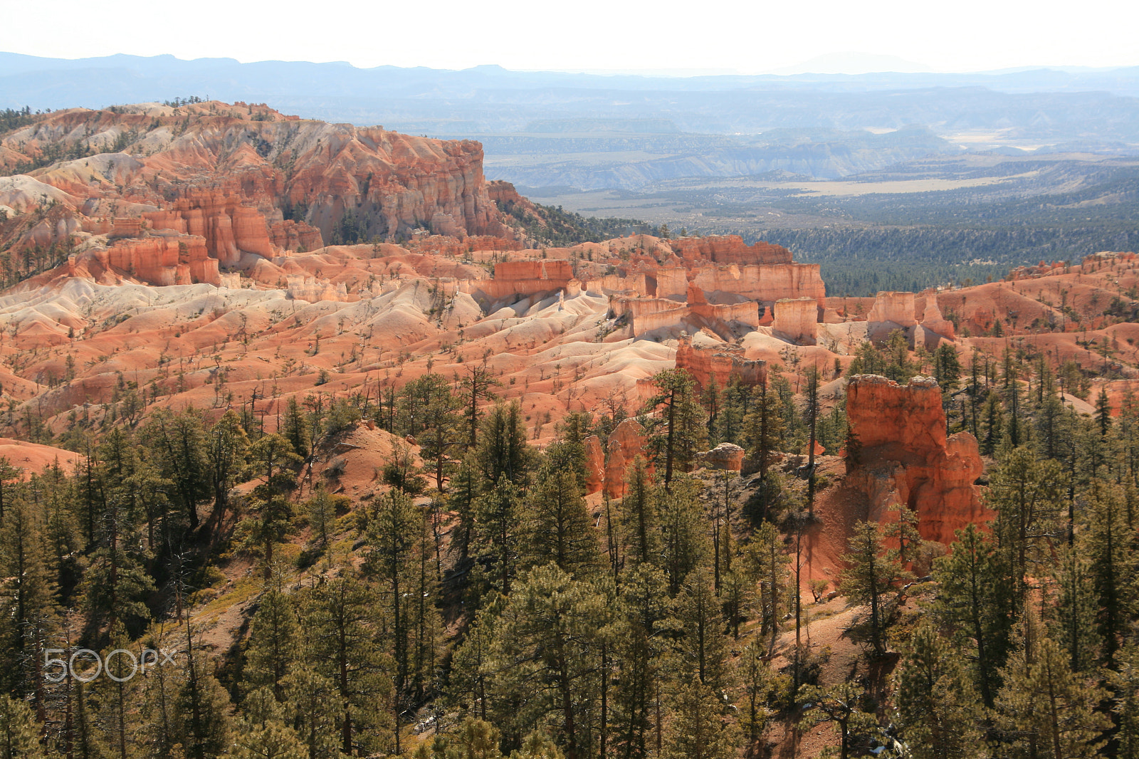 Canon EOS 400D (EOS Digital Rebel XTi / EOS Kiss Digital X) sample photo. Bryce canyon photography