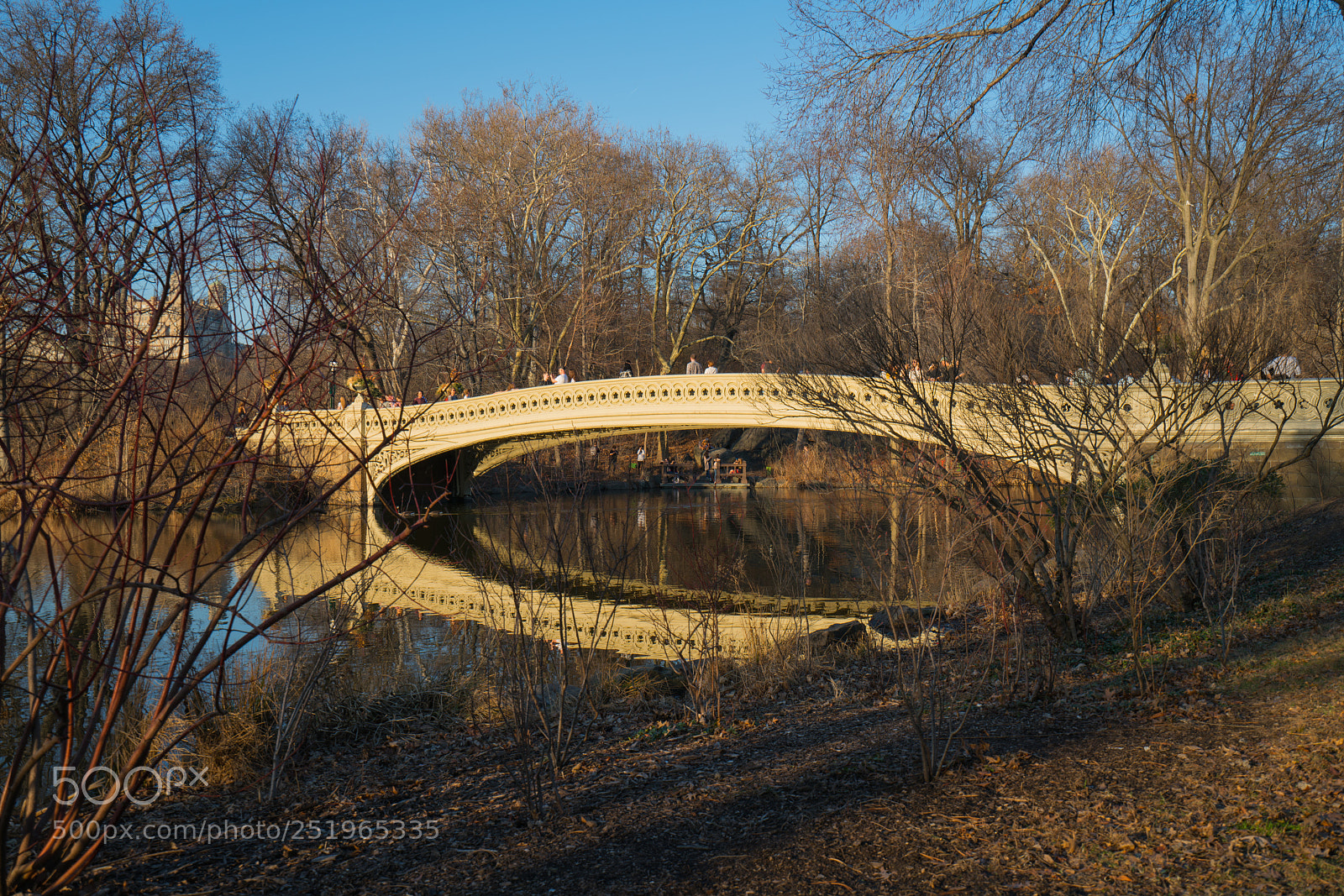 Sony a7R II sample photo. Dsc photography