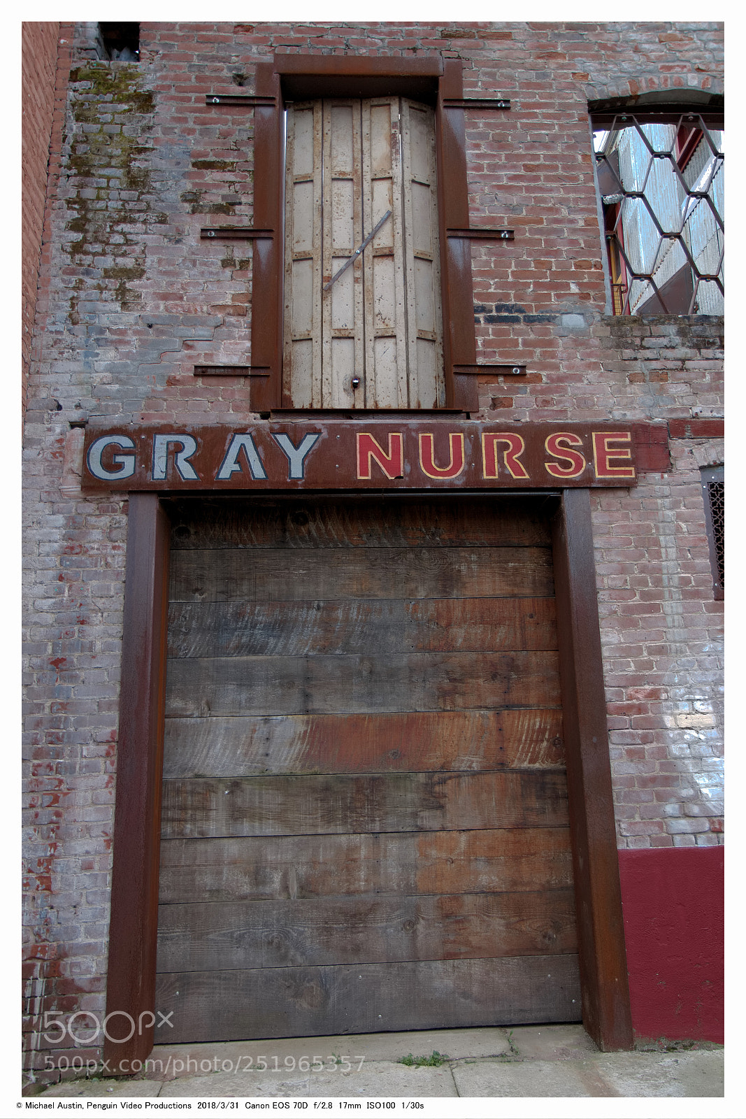 Canon EOS 70D sample photo. Gray nurse photography