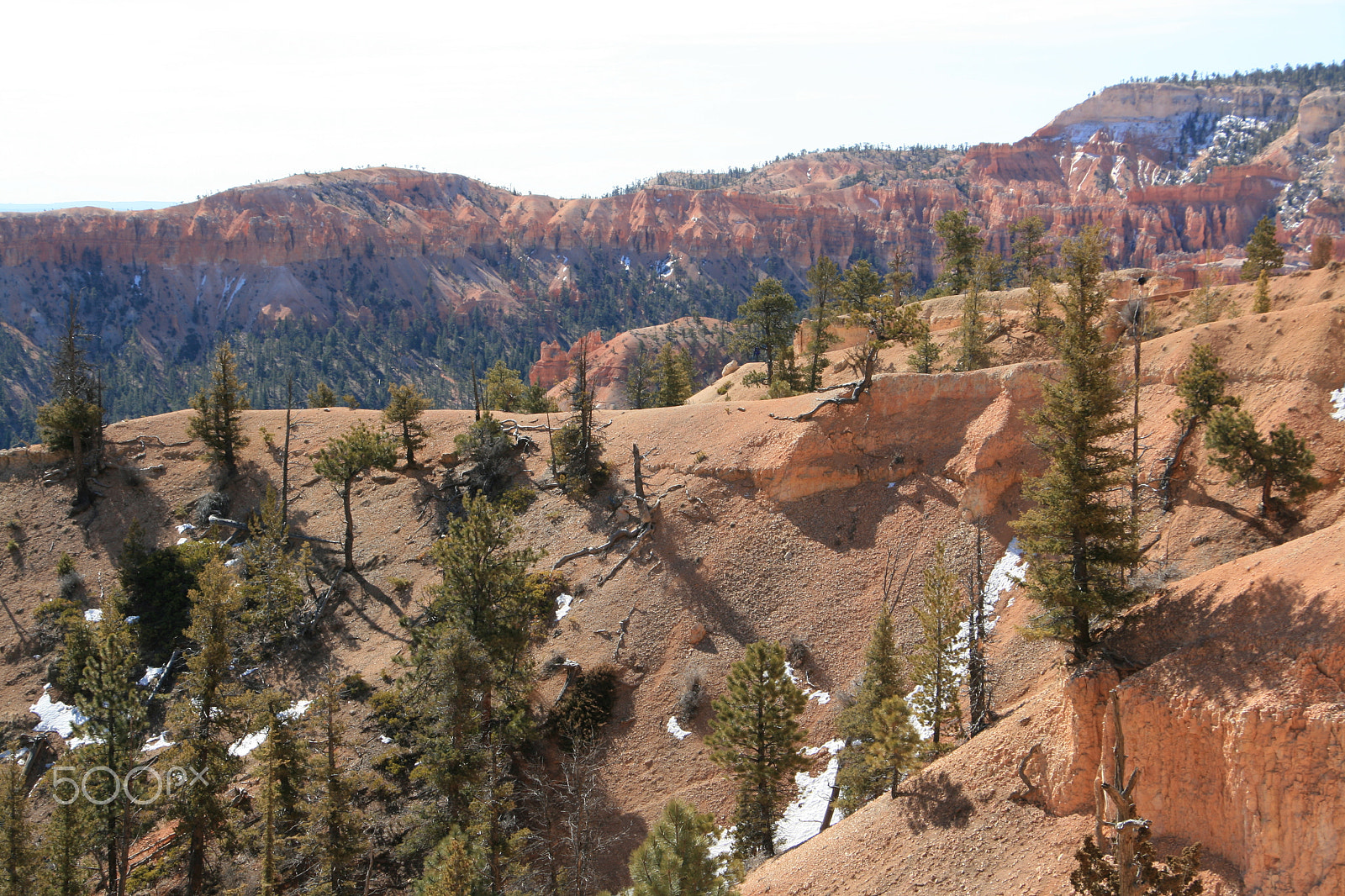 Canon EOS 400D (EOS Digital Rebel XTi / EOS Kiss Digital X) sample photo. Bryce canyon photography