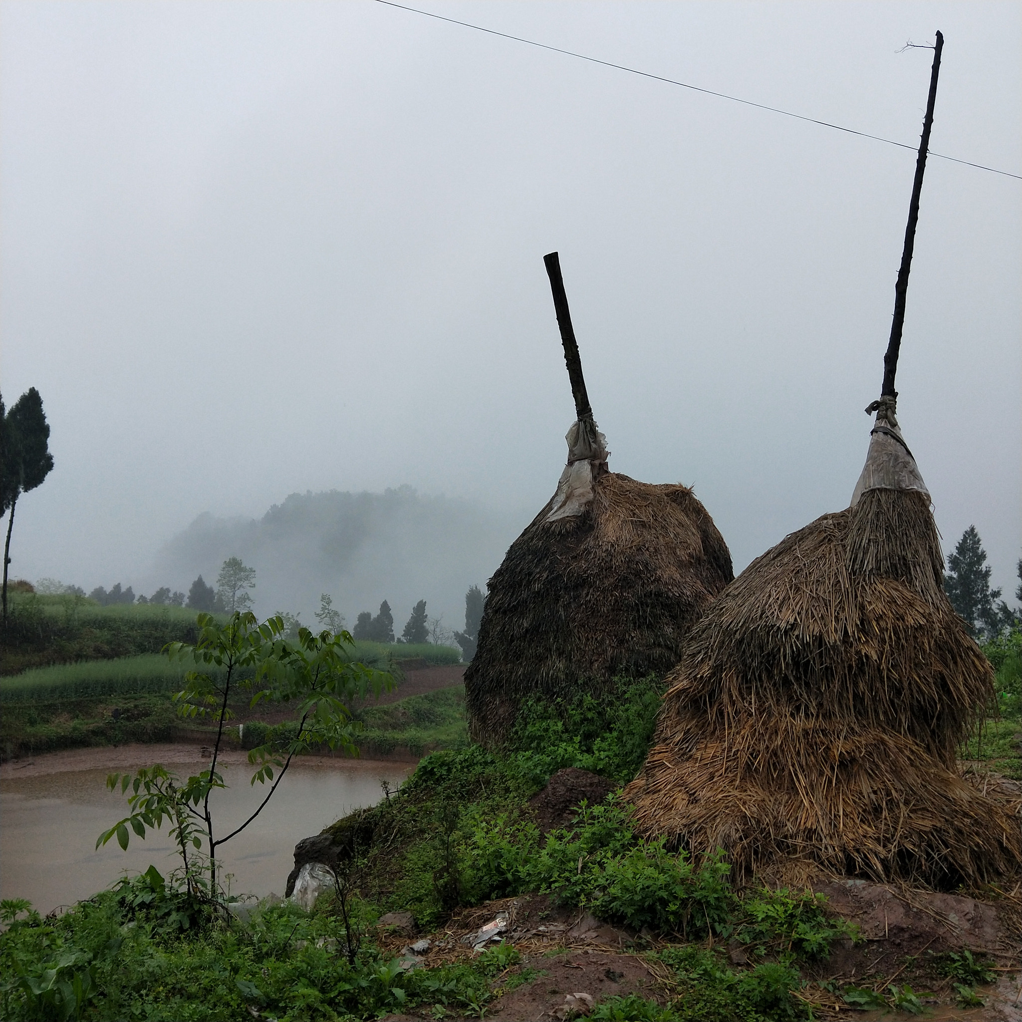 OPPO R11 sample photo. A rainy day photography