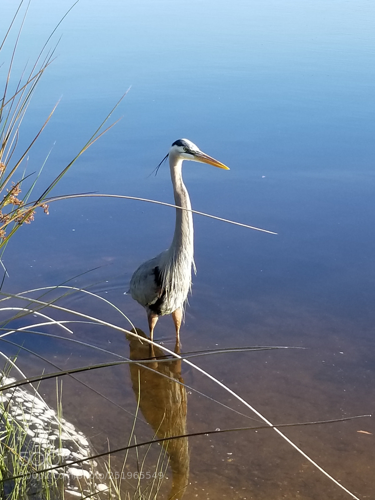 Samsung Galaxy S8 sample photo. Untitled photography