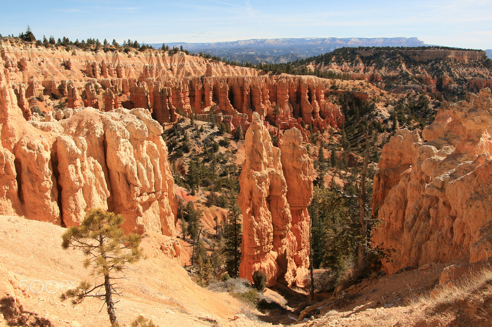 Canon EOS 400D (EOS Digital Rebel XTi / EOS Kiss Digital X) sample photo. Bryce canyon photography