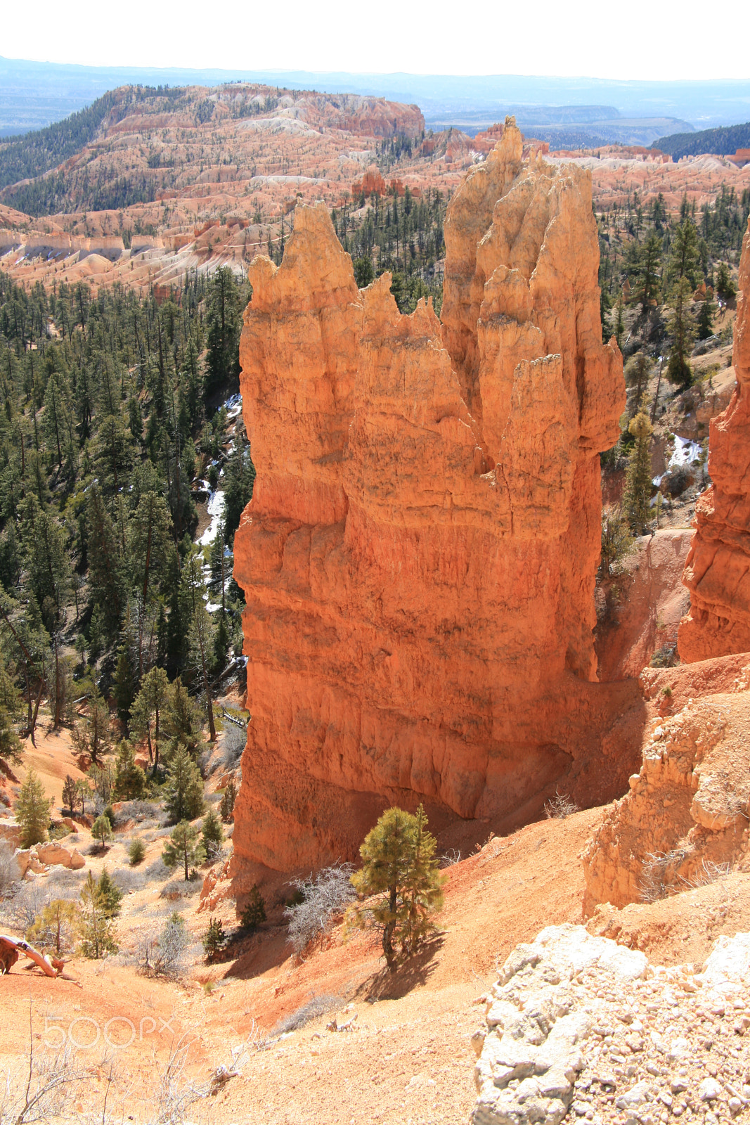 Canon EOS 400D (EOS Digital Rebel XTi / EOS Kiss Digital X) sample photo. Bryce canyon photography