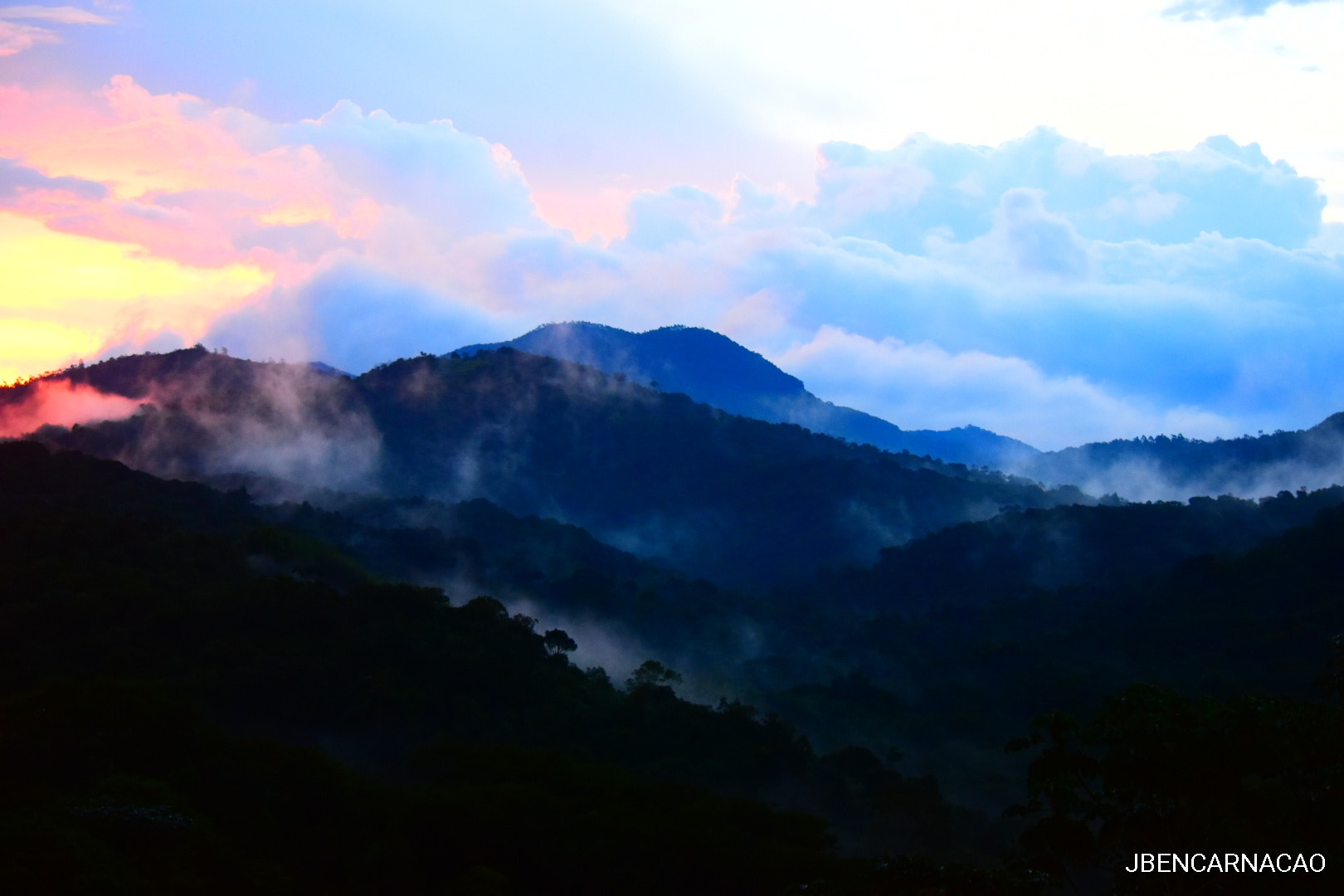 Nikon D5600 sample photo. Fogg photography