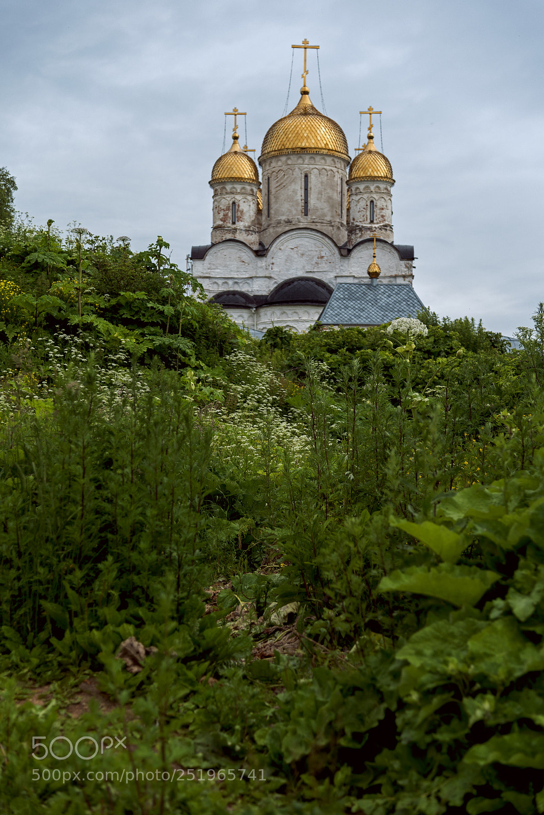 Nikon D750 sample photo. Luzhetsky monastery photography