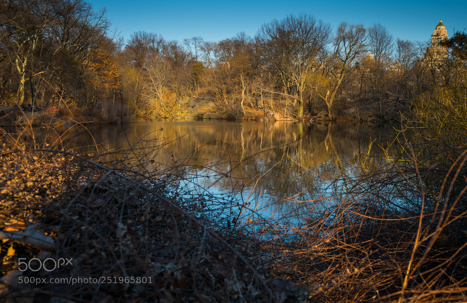 Sony a7R II sample photo. Dsc photography